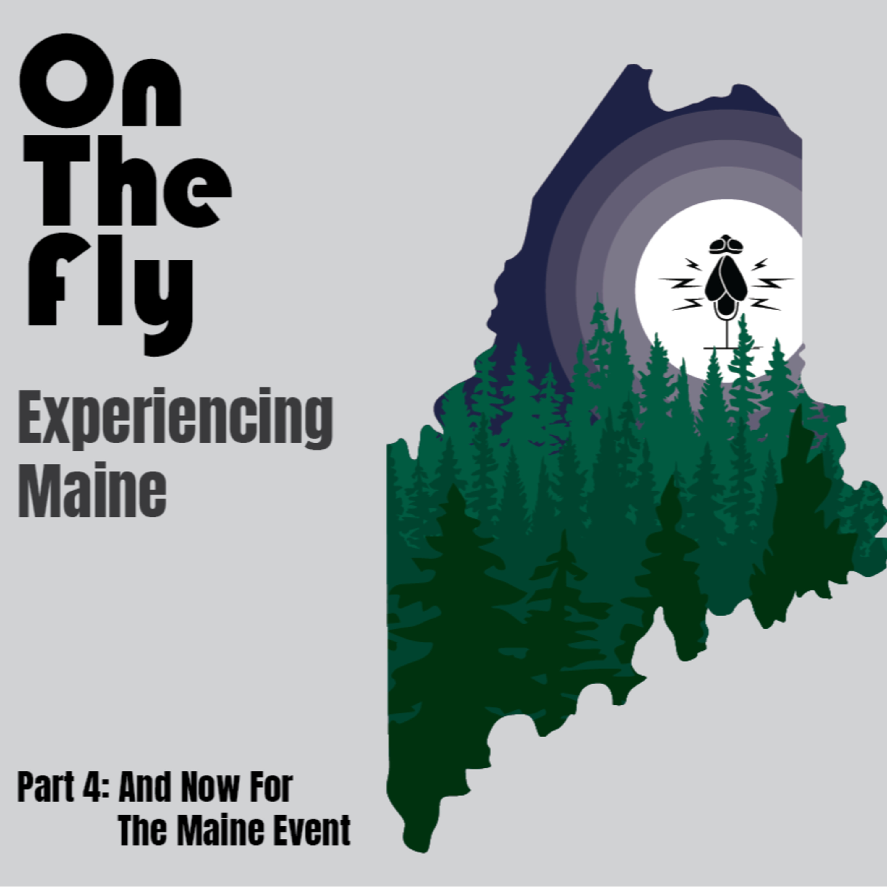 On The Fly