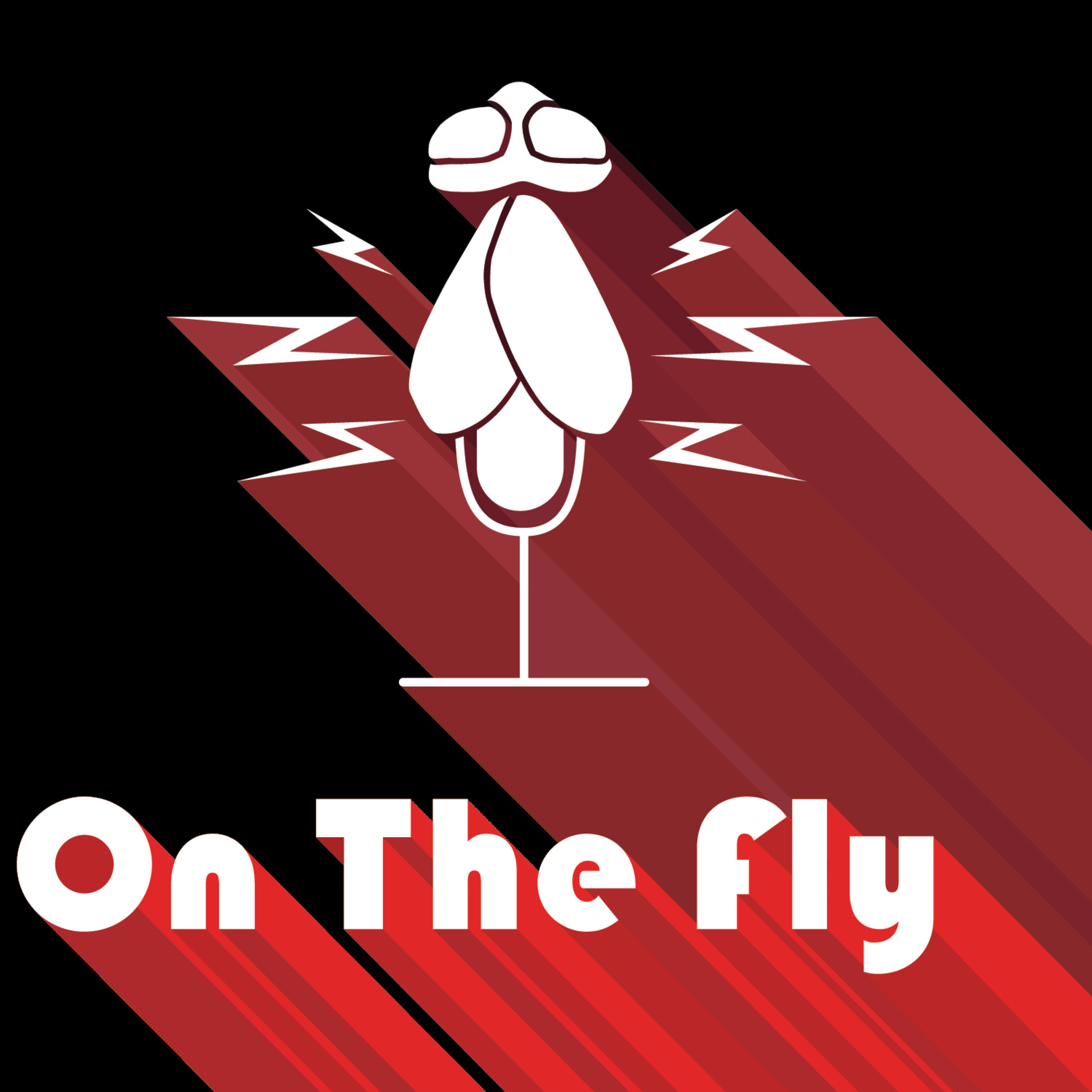 On The Fly