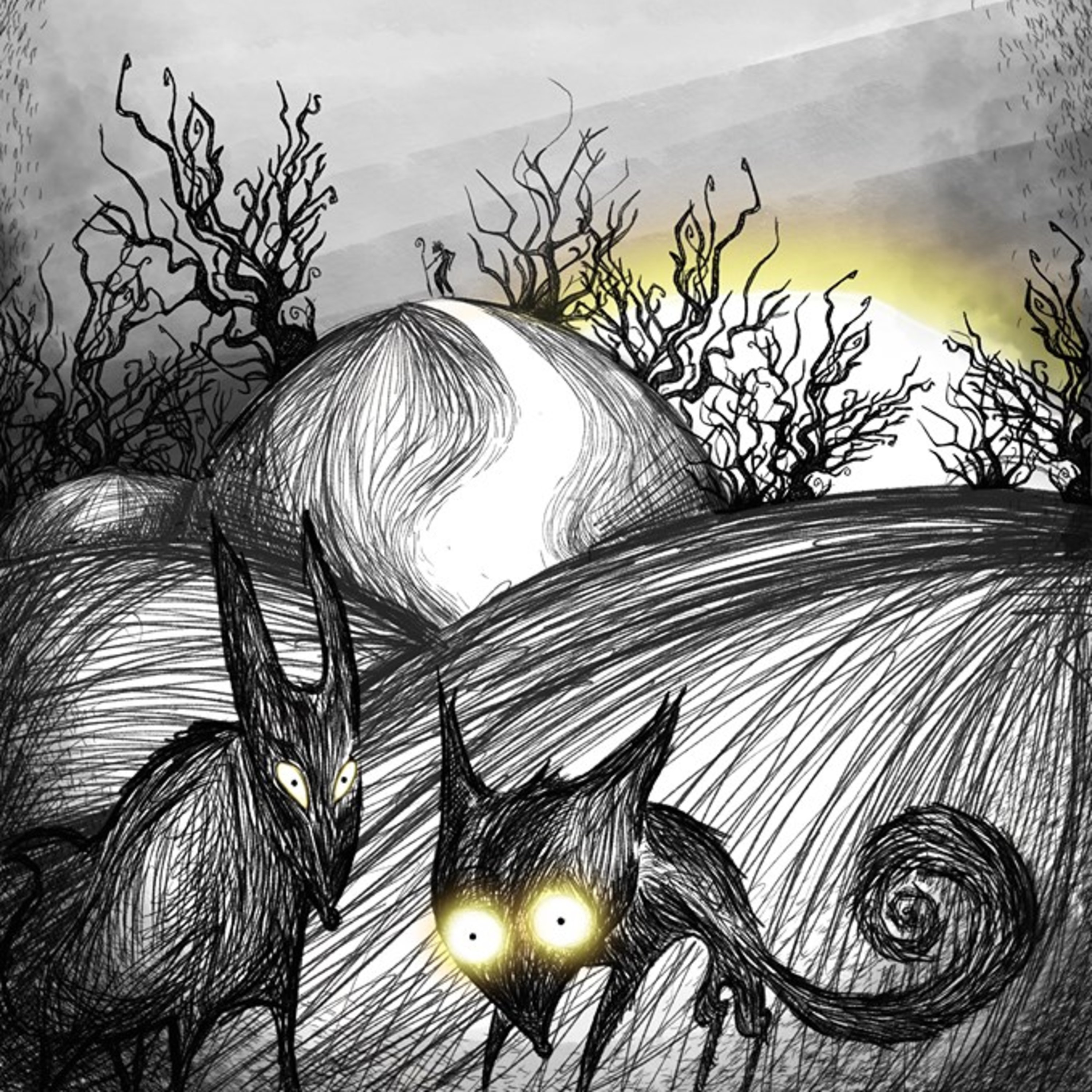 Noircir