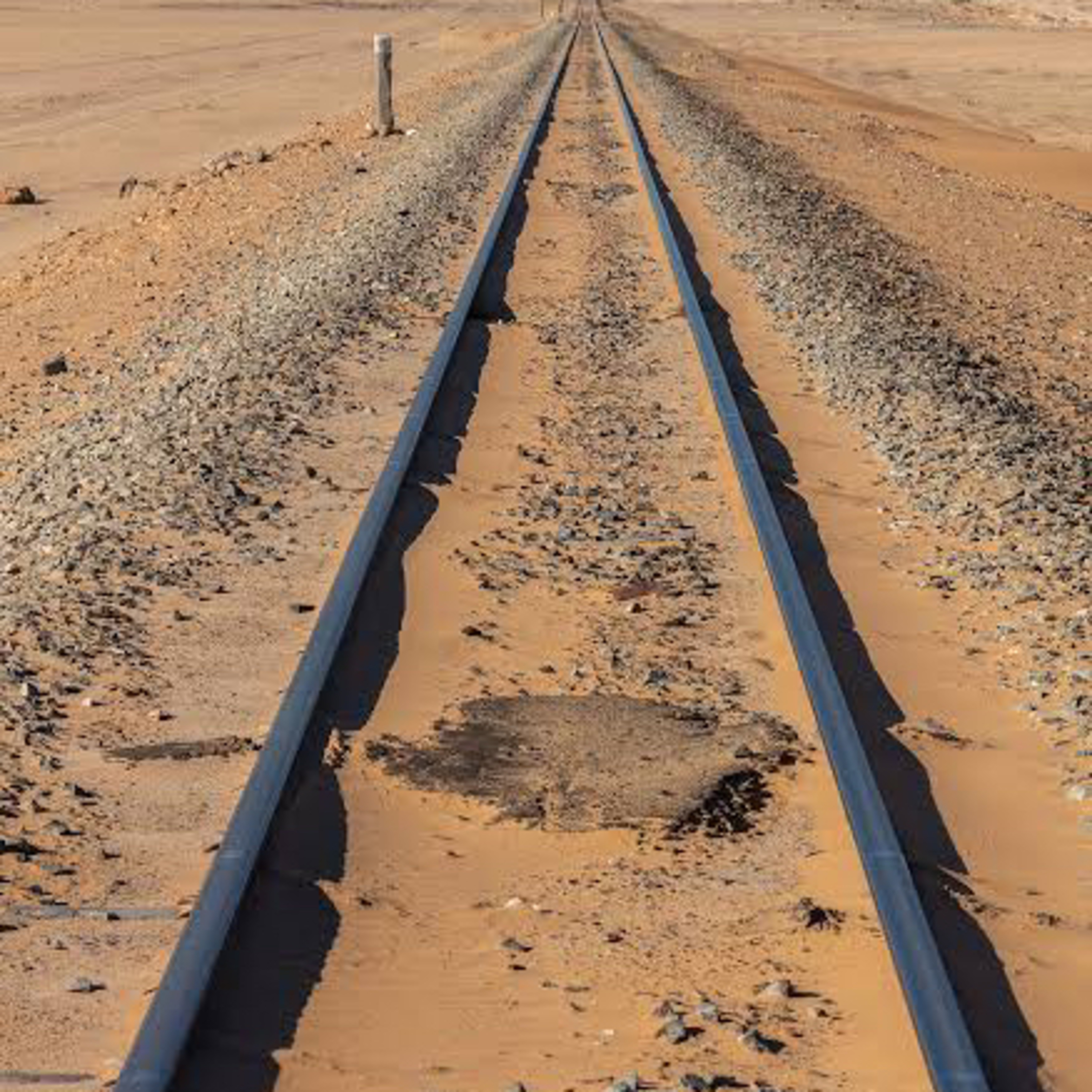 Una oportunidad de oro episode artwork