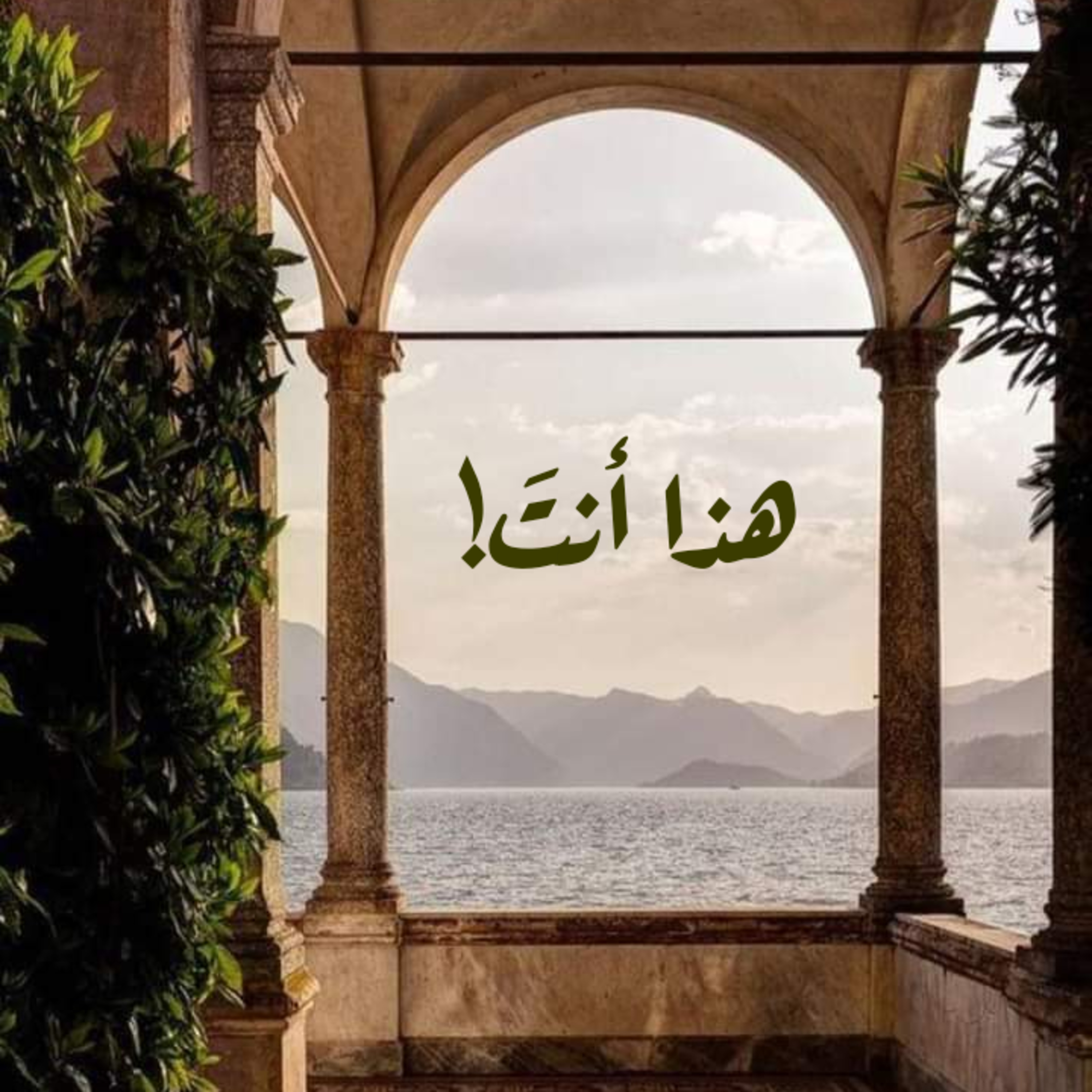 هذَا أنتَ! episode artwork