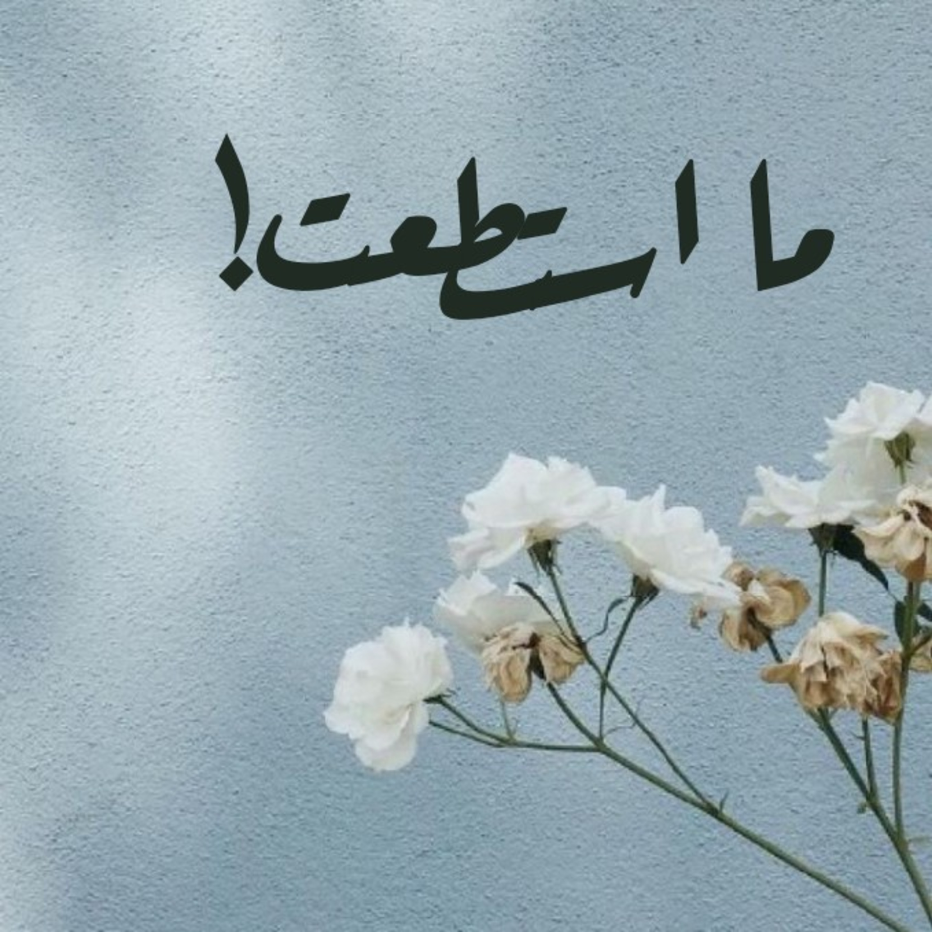 ما استطعت! episode artwork