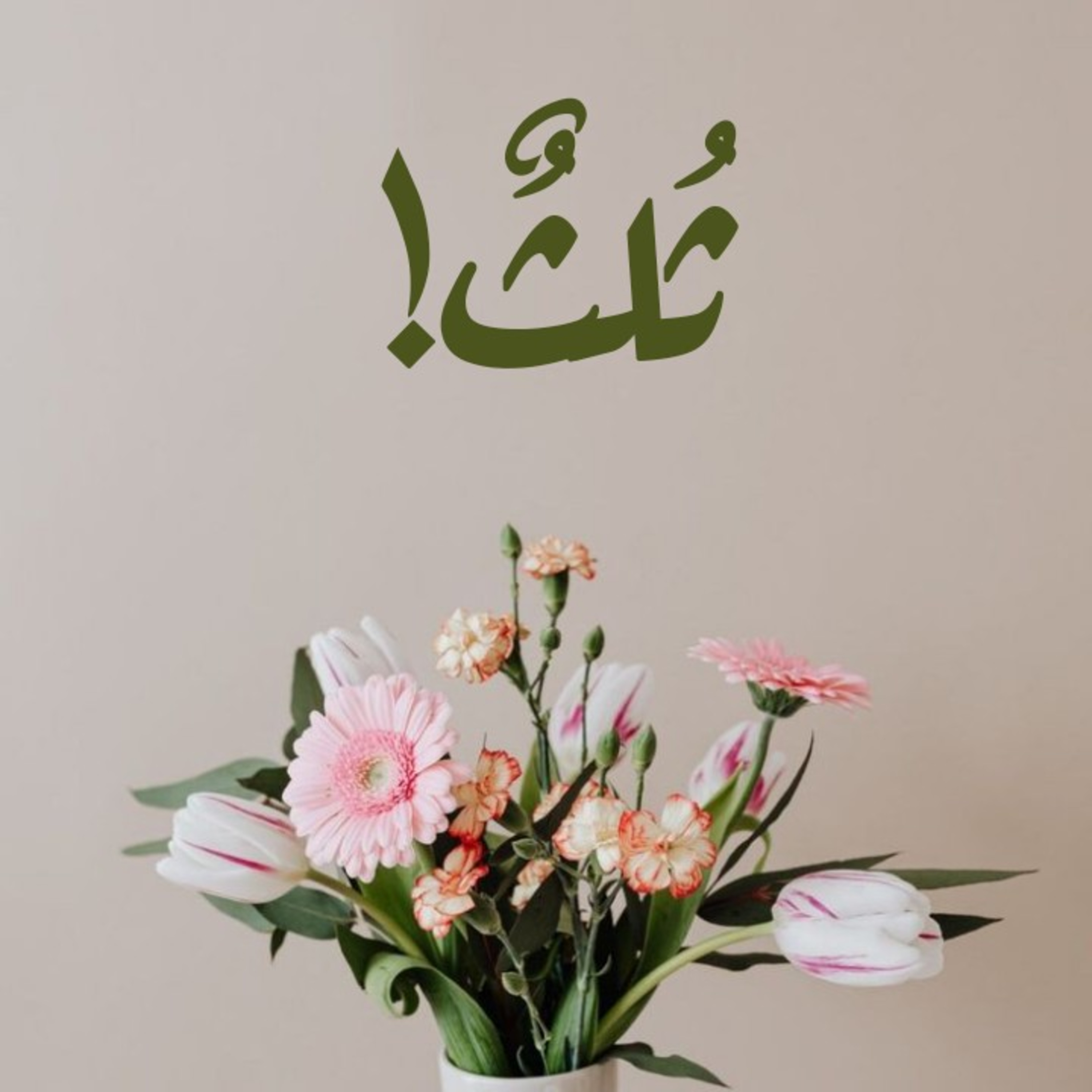 ثُلثٌ! episode artwork