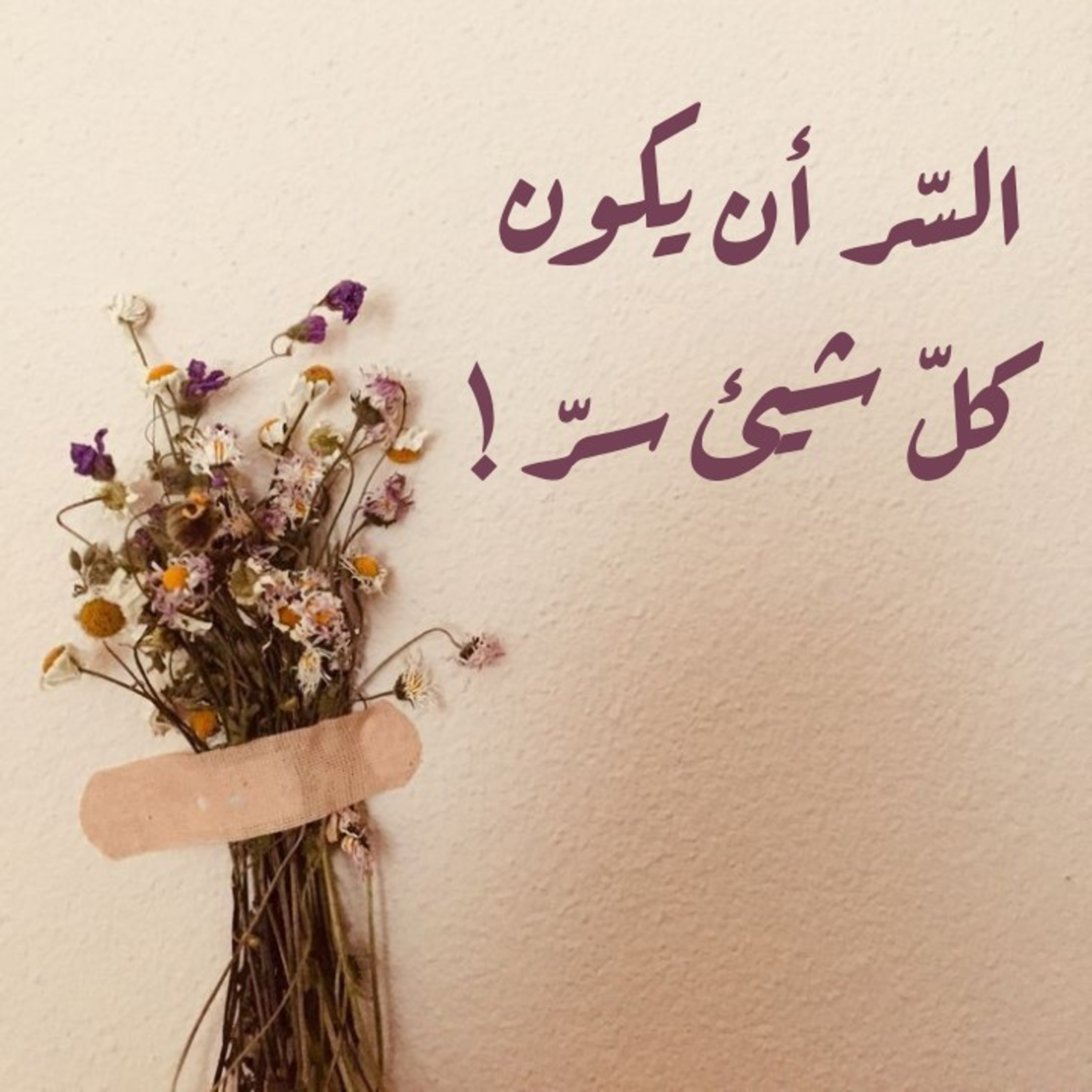 السّر أن يكون كلّ شيئ سرّ!  episode artwork