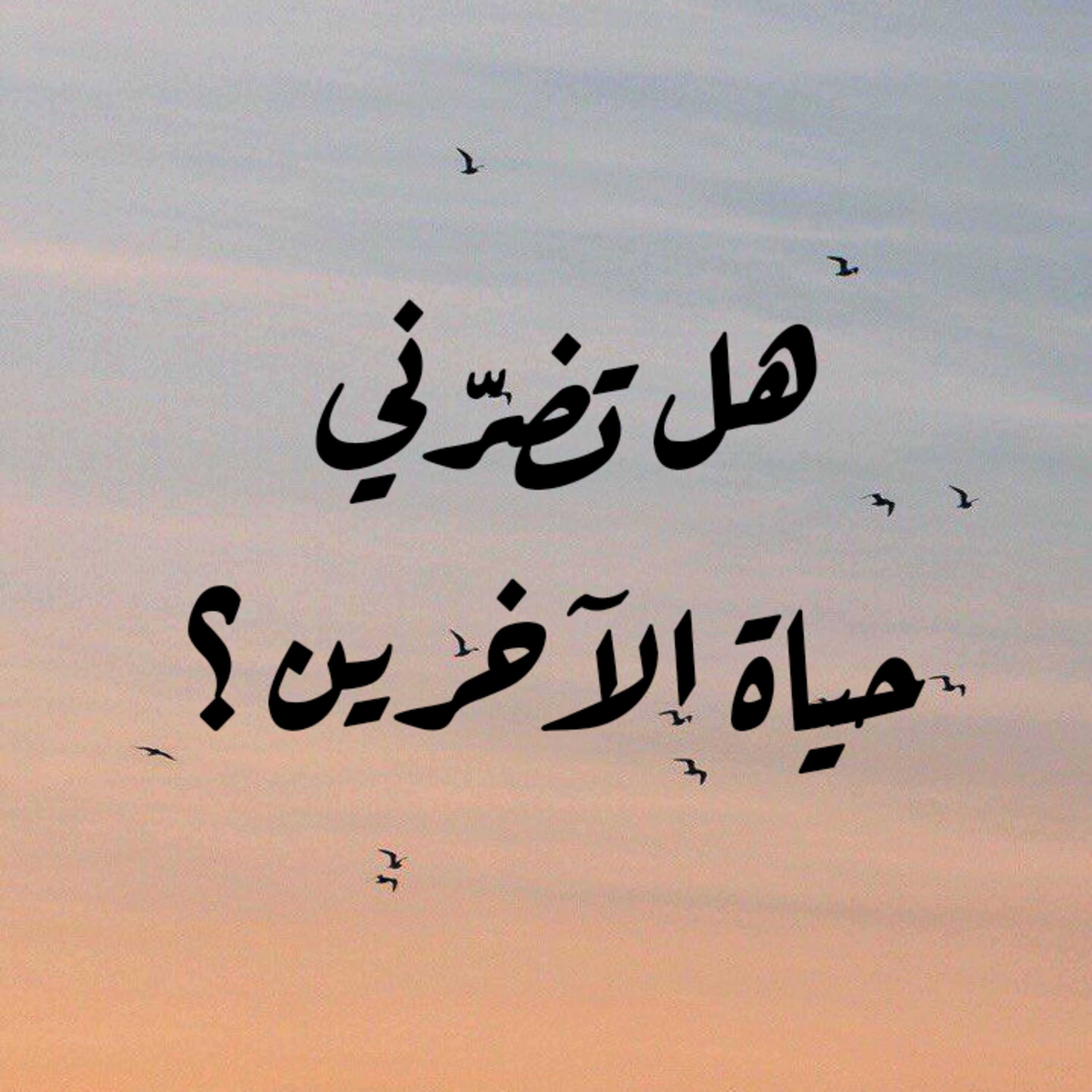 هل تضرّني حياة الآخرين ؟ episode artwork