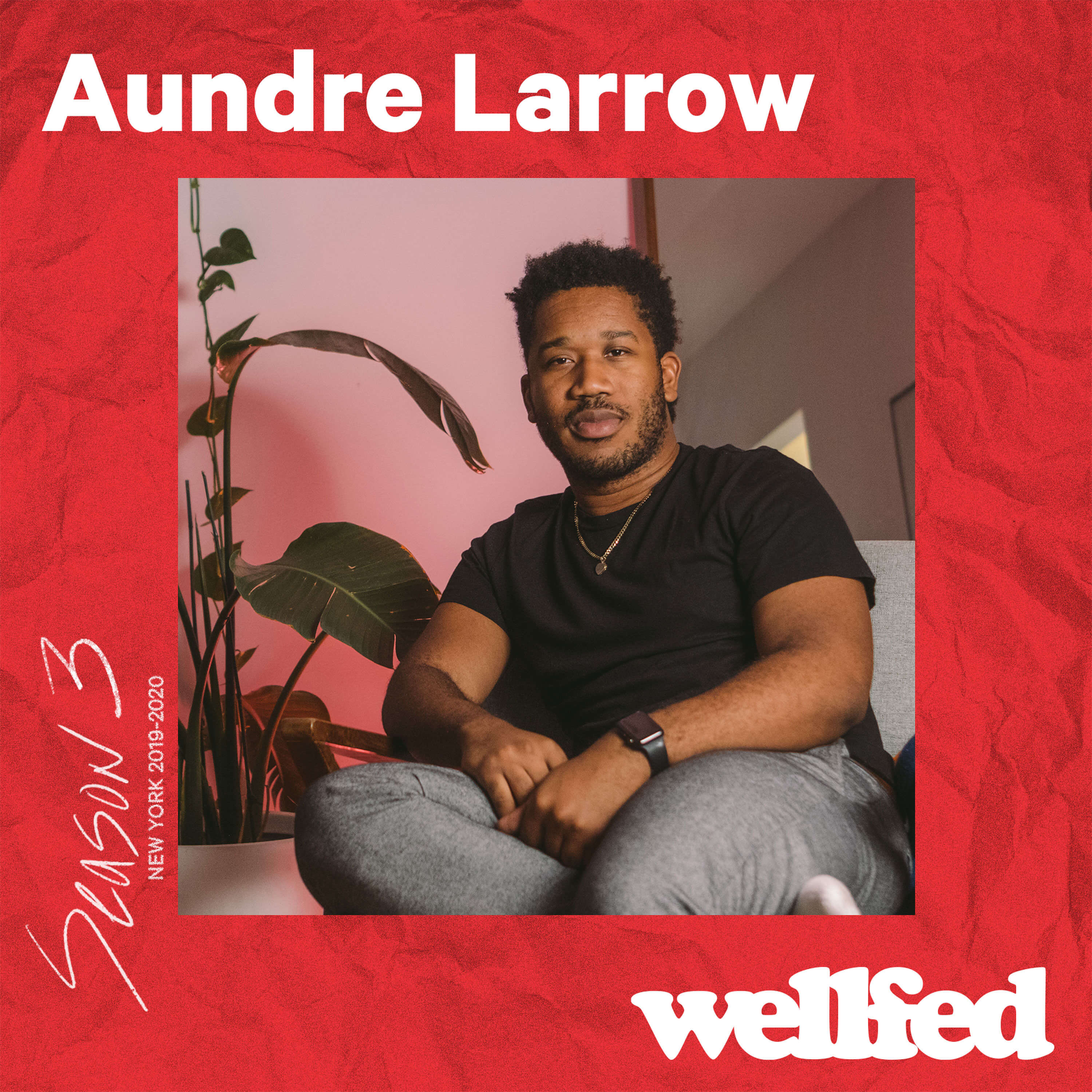 Wellfed Design Podcast