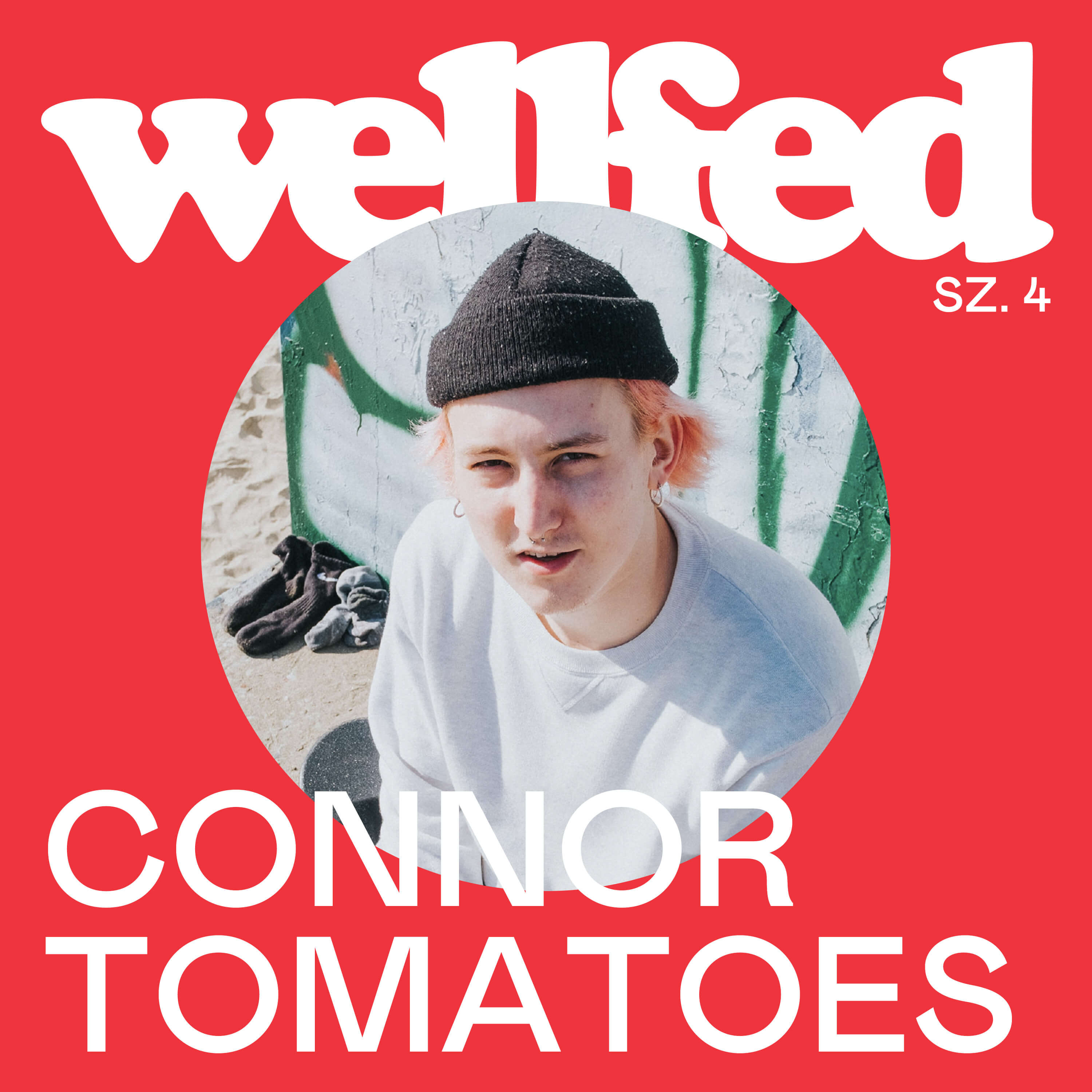 Wellfed Design Podcast