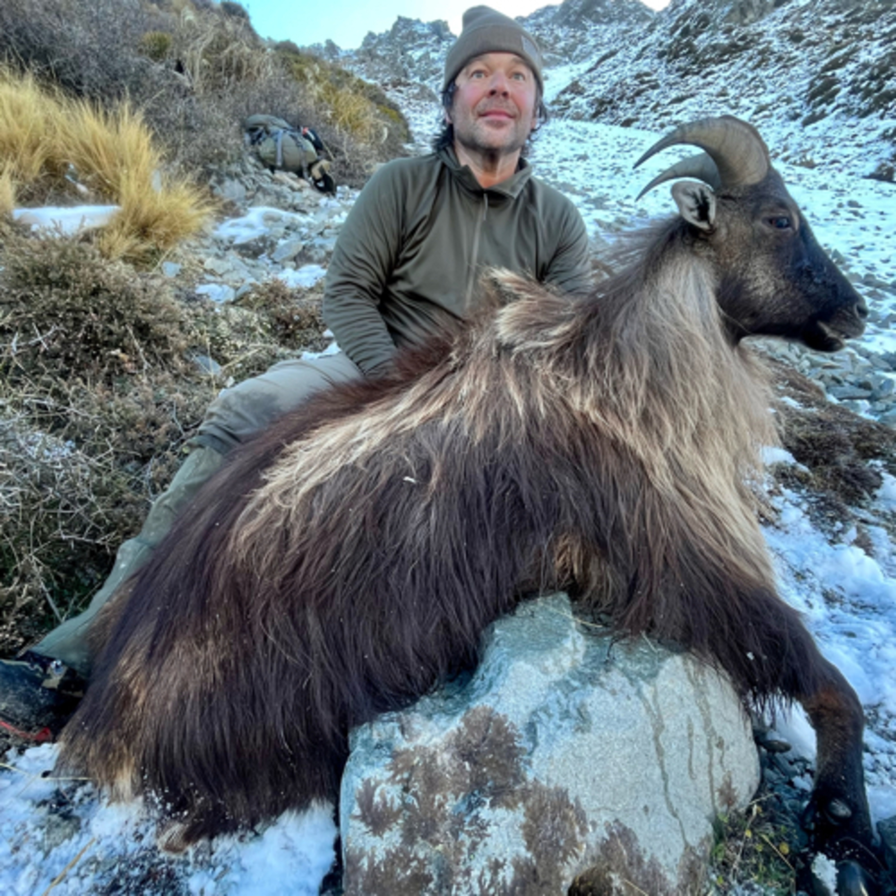 65: Chamois, Tahr, and Dall Sheep with Rush Simpson