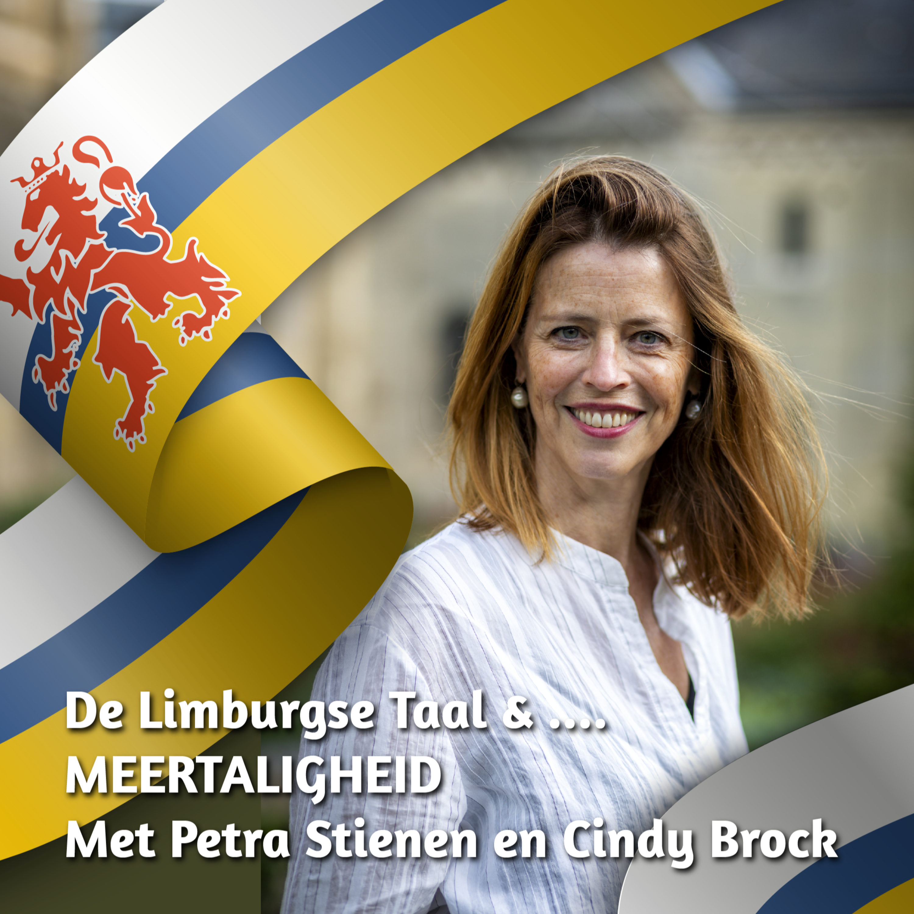 De Limburgse Taal & ...