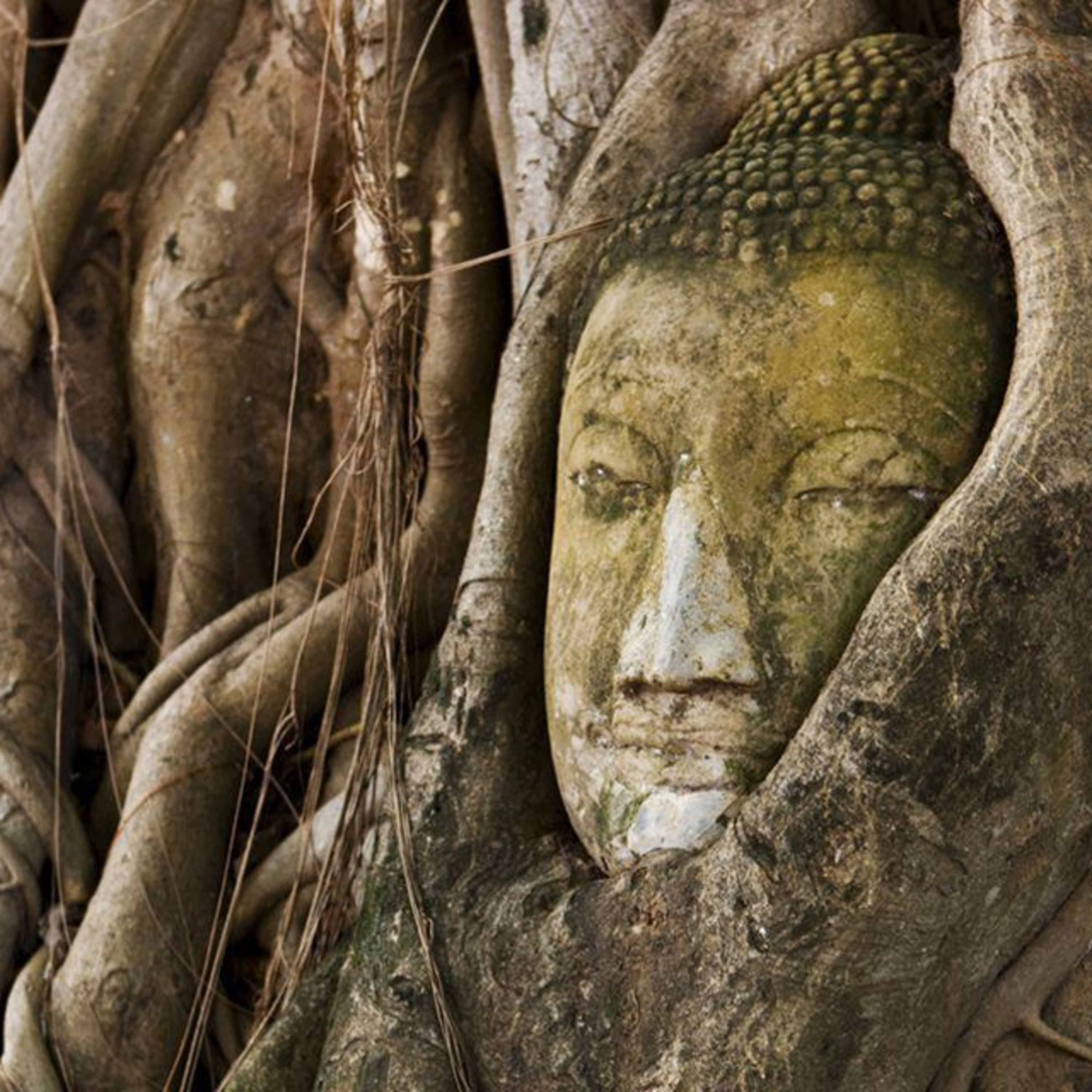 TAILANDIA - EL NORTE