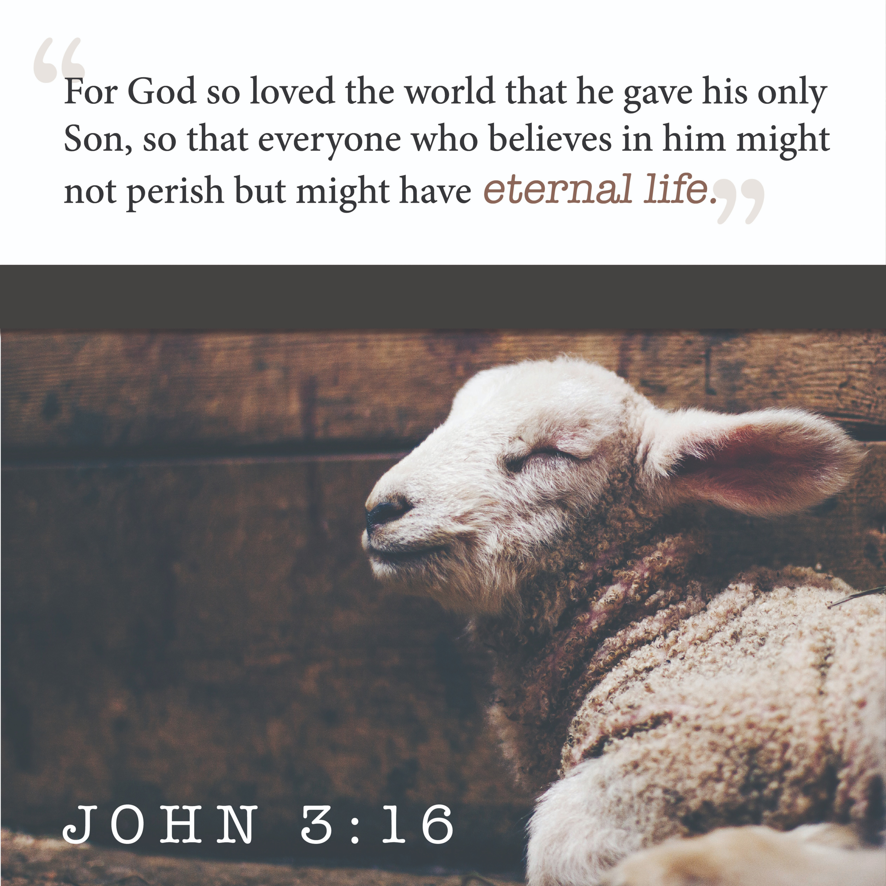 Homily - June 7, 2020 - Father Paul Timmerman episode artwork