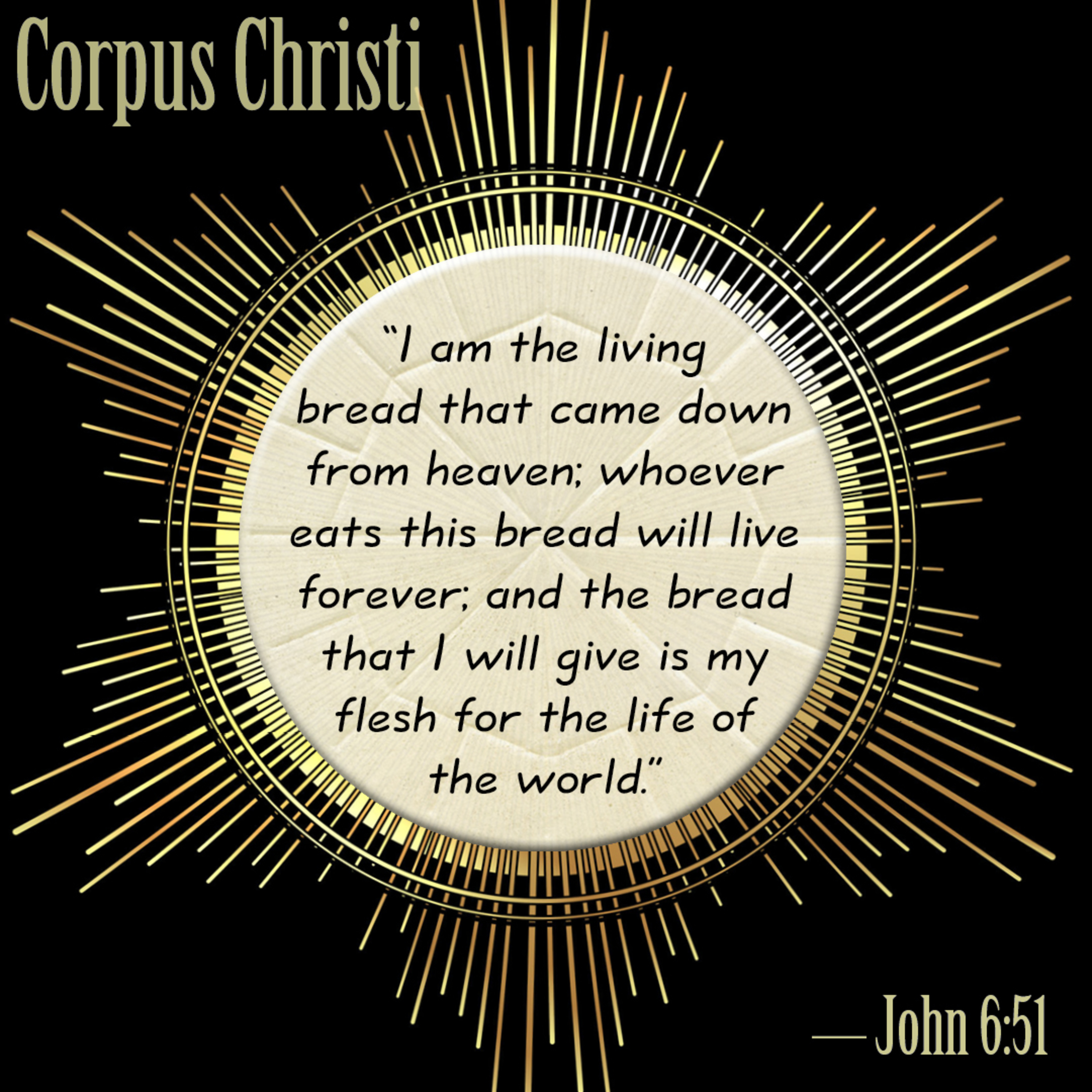 Homily - June 14, 2020 - Father Paul Timmerman episode artwork