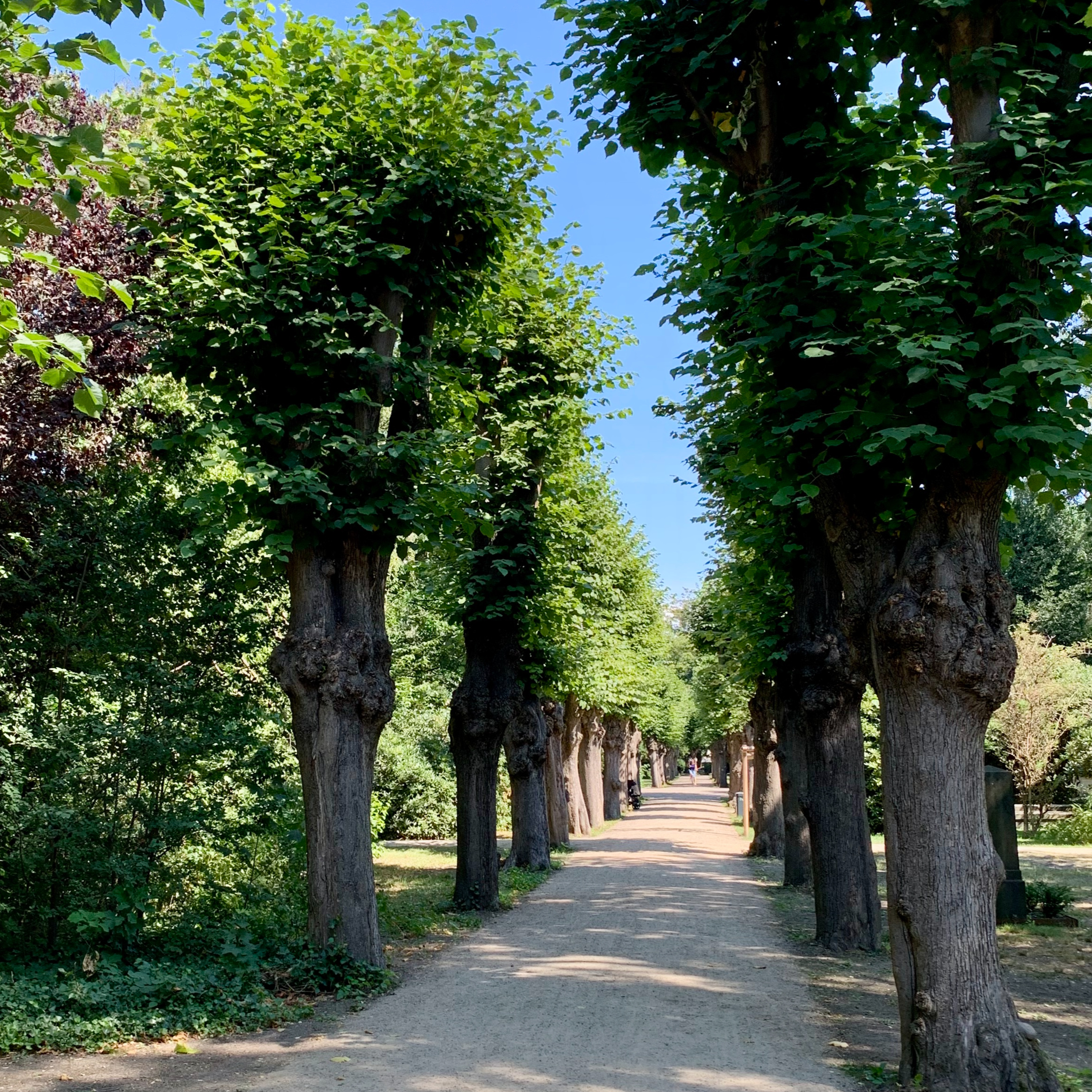 Denkmal im Wandern
