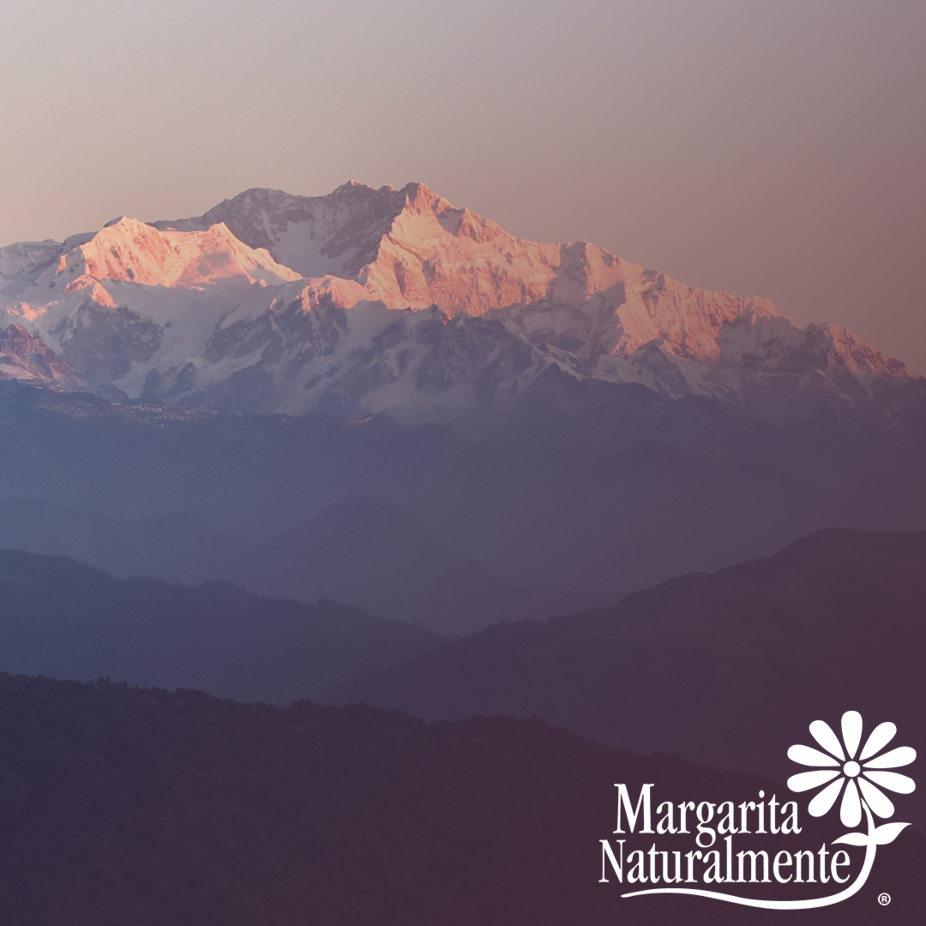 Margarita Naturalmente