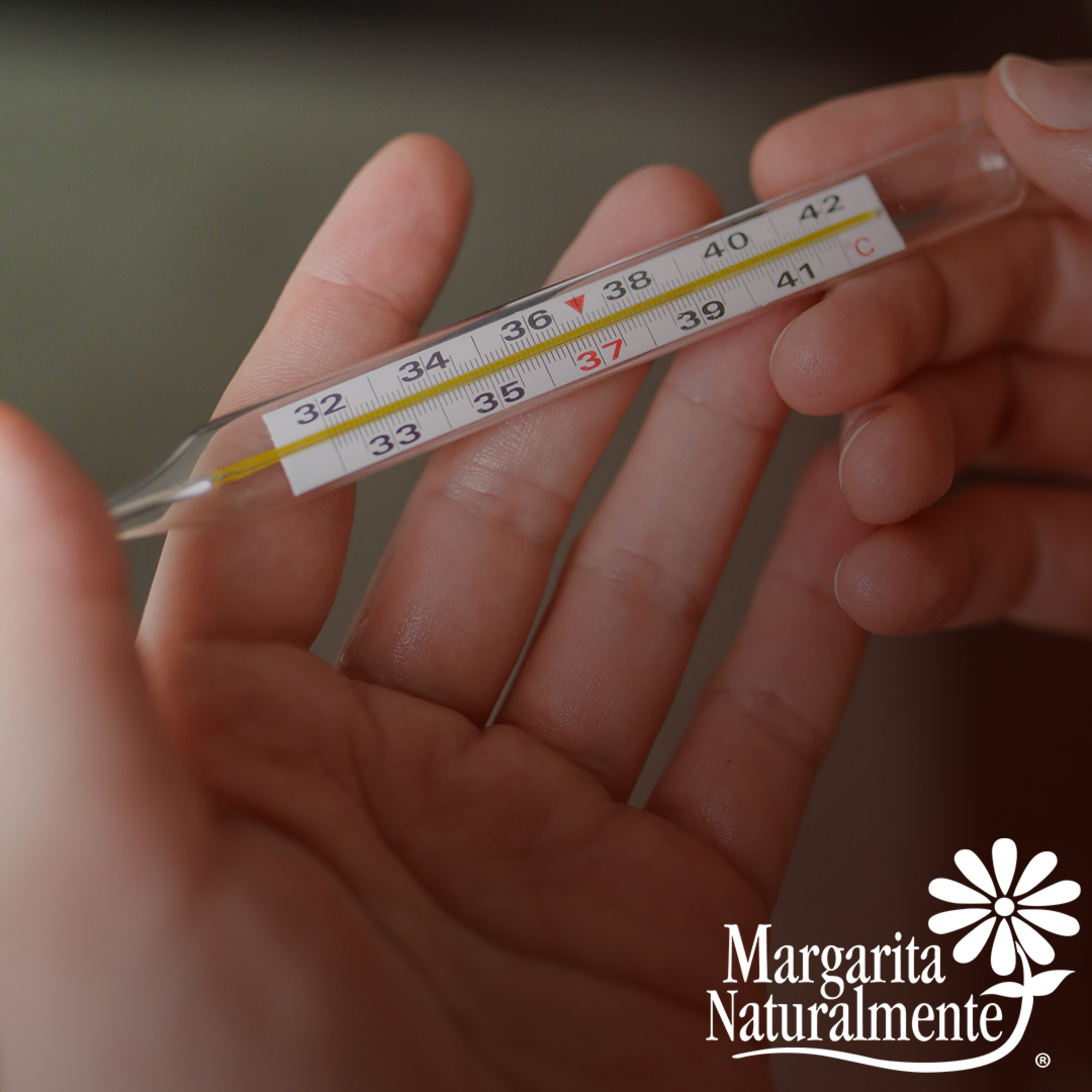 Margarita Naturalmente