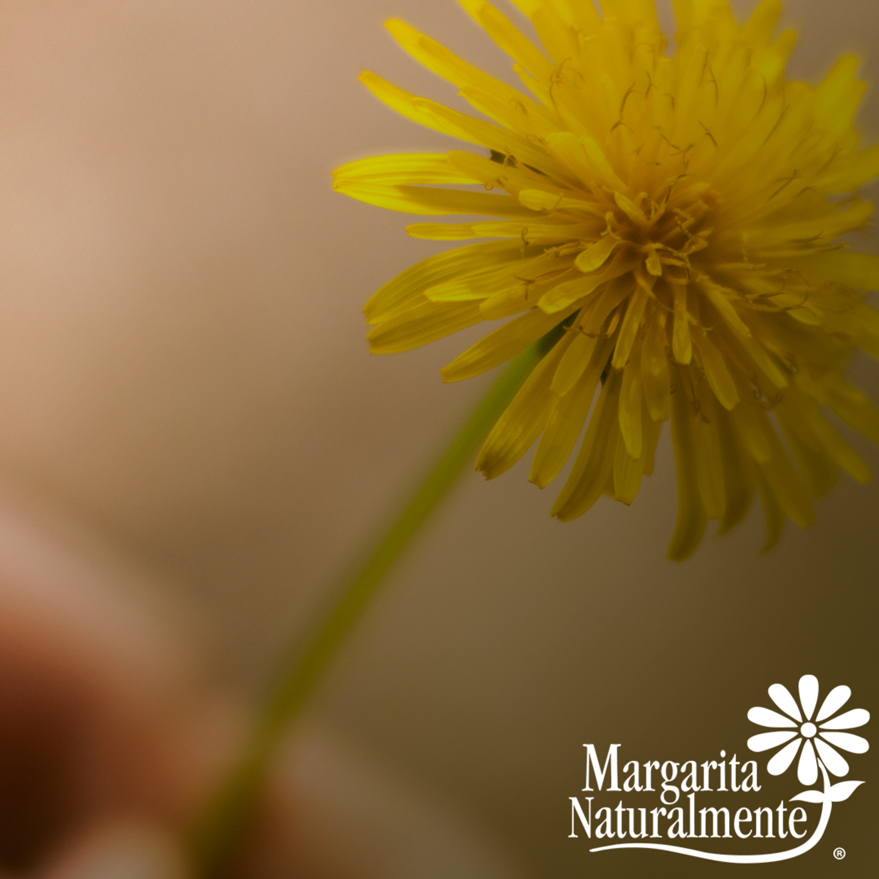 Margarita Naturalmente