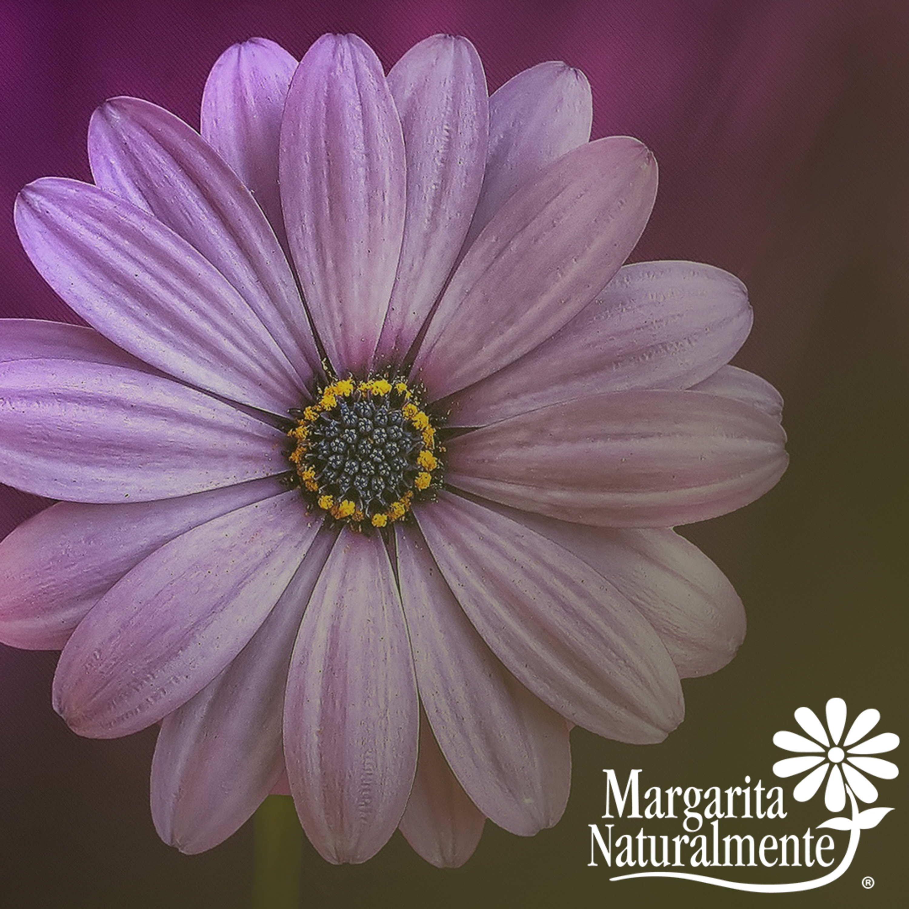 Margarita Naturalmente