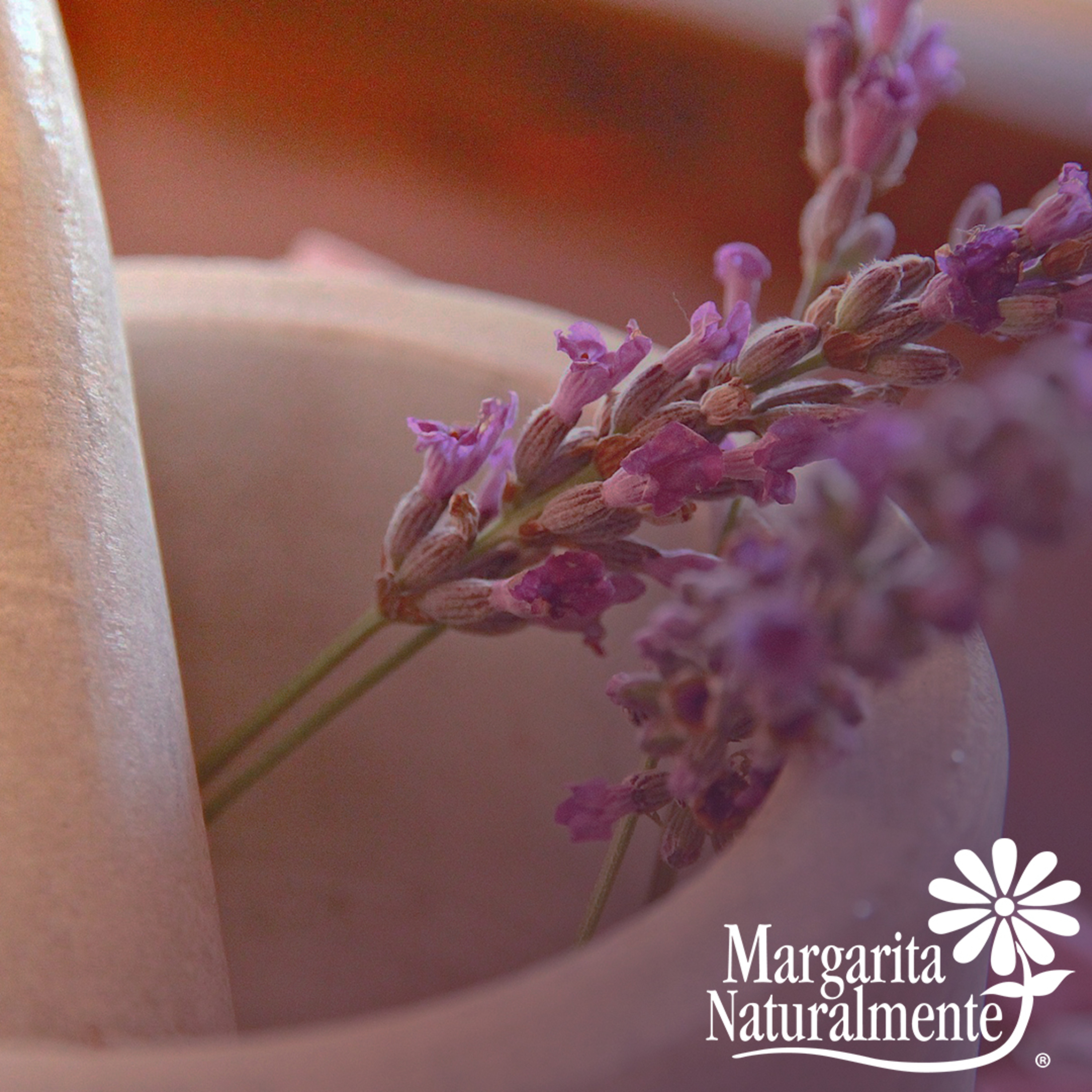 Margarita Naturalmente