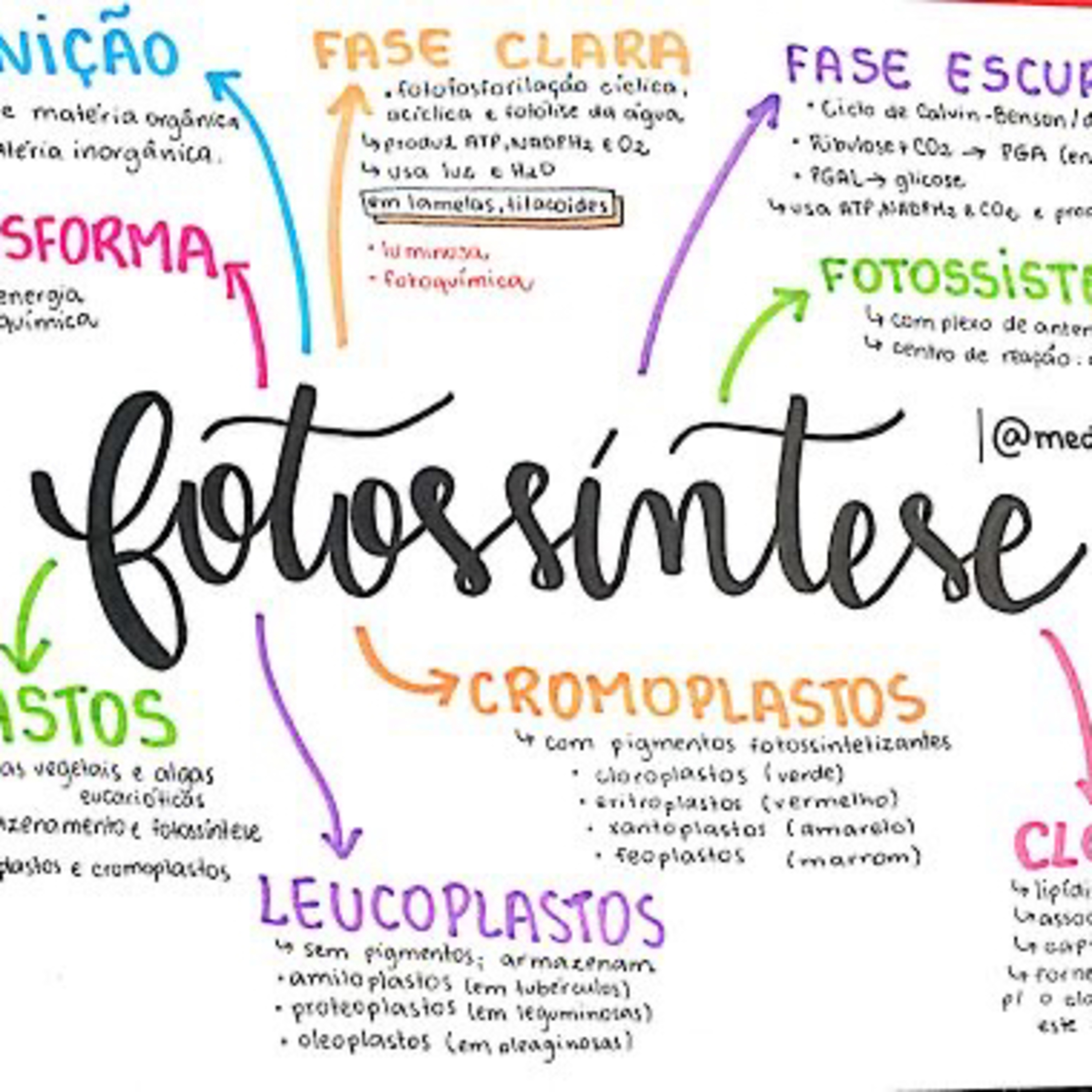 Fotossíntese  episode artwork