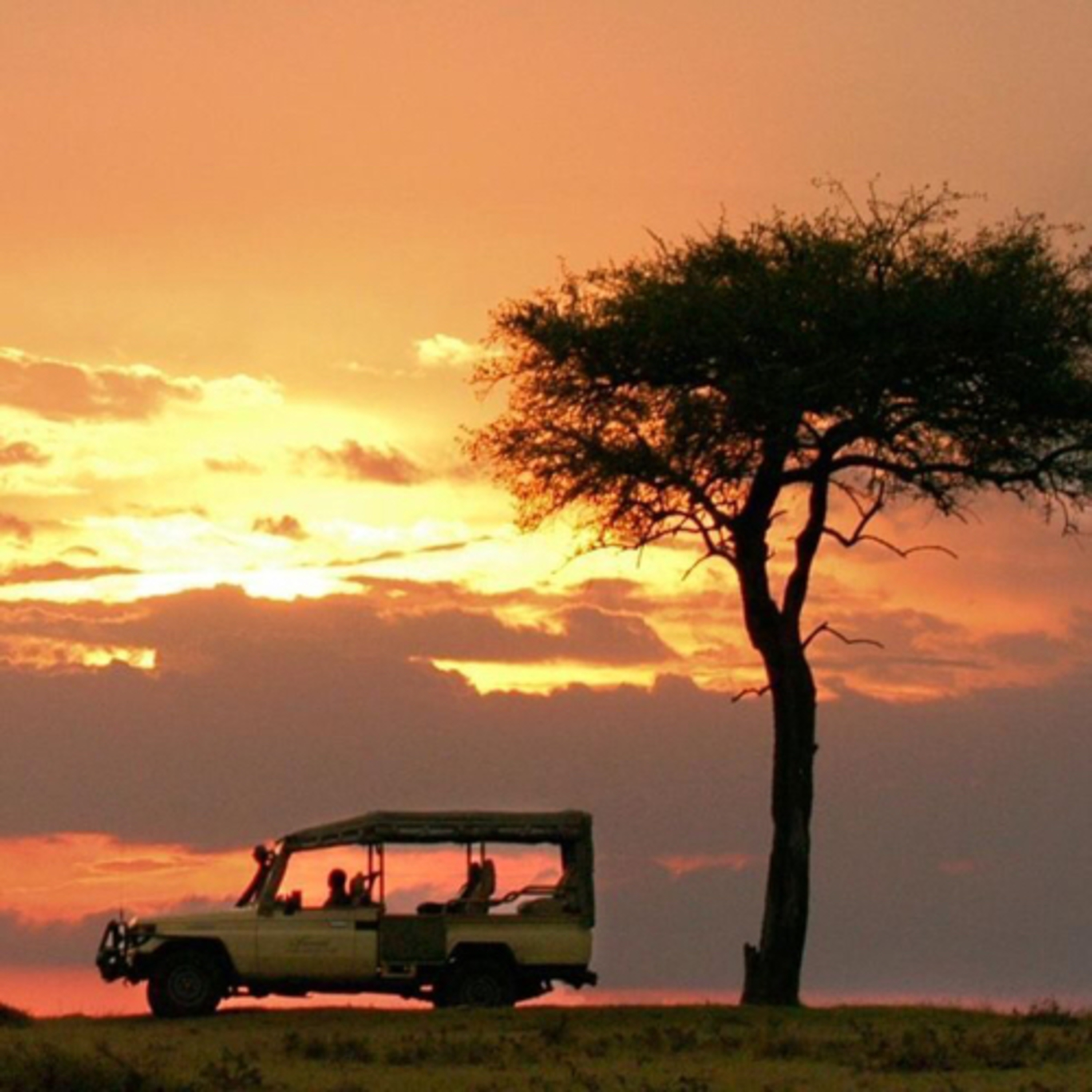 África  episode artwork