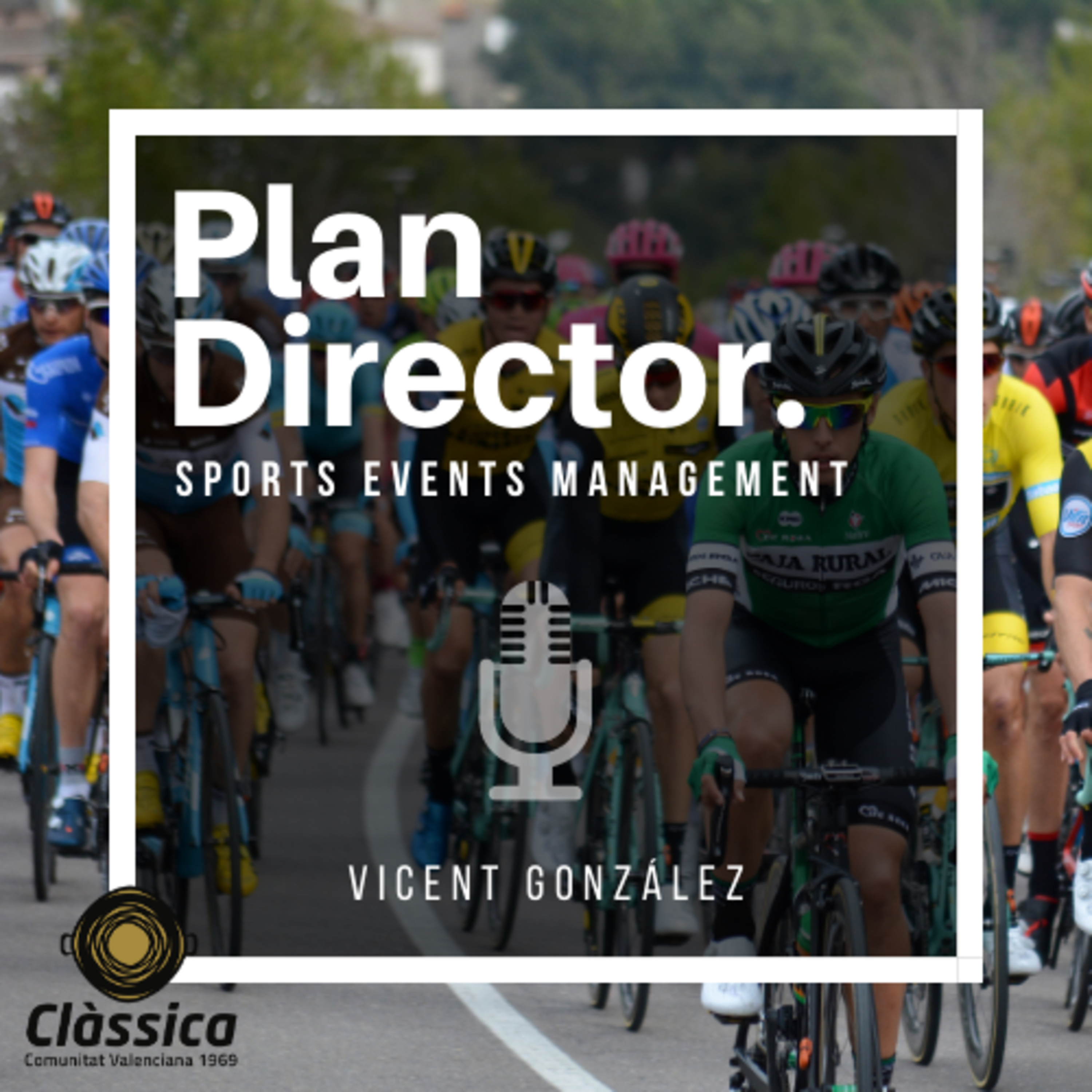 Plan Director