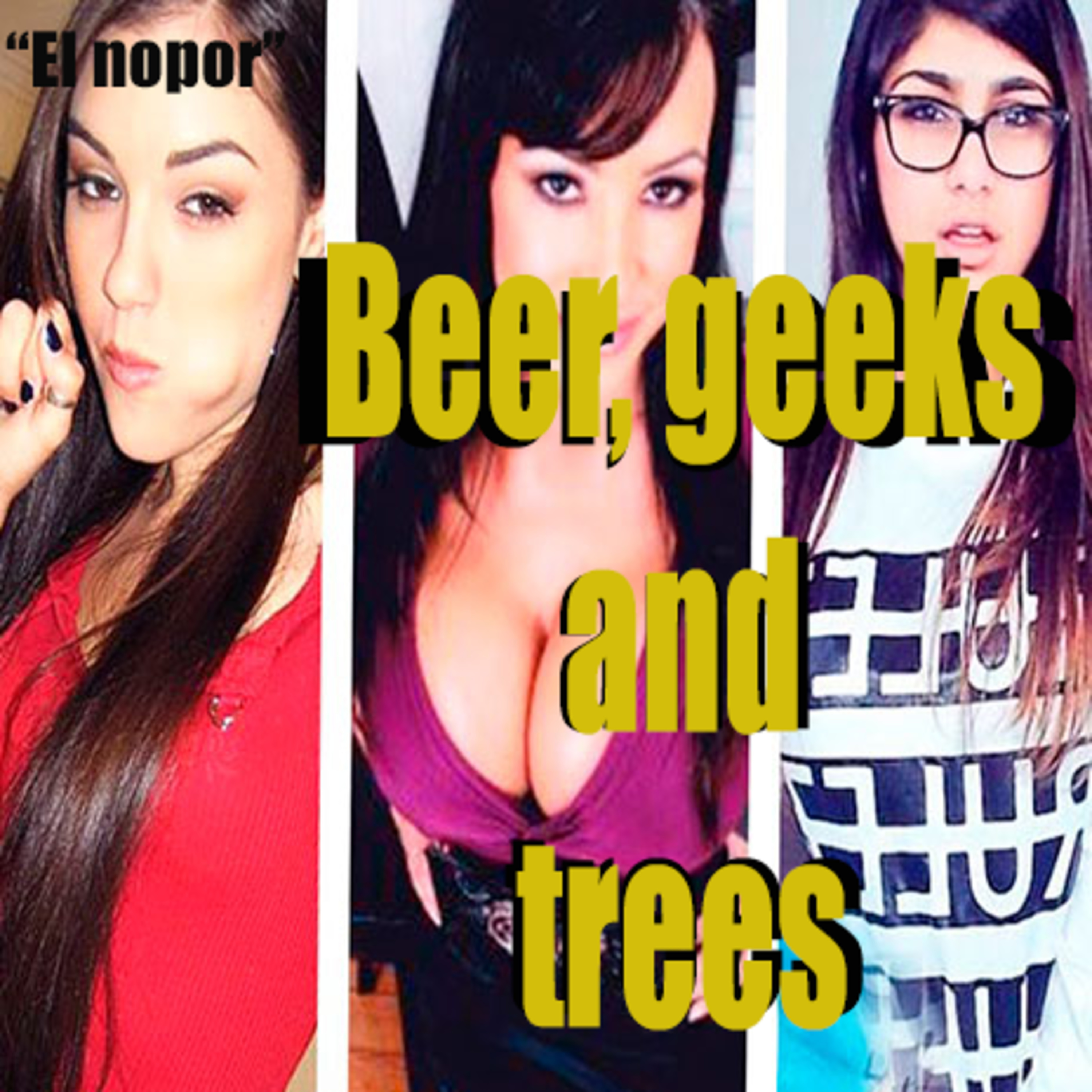 Beer, Geeks and Trees