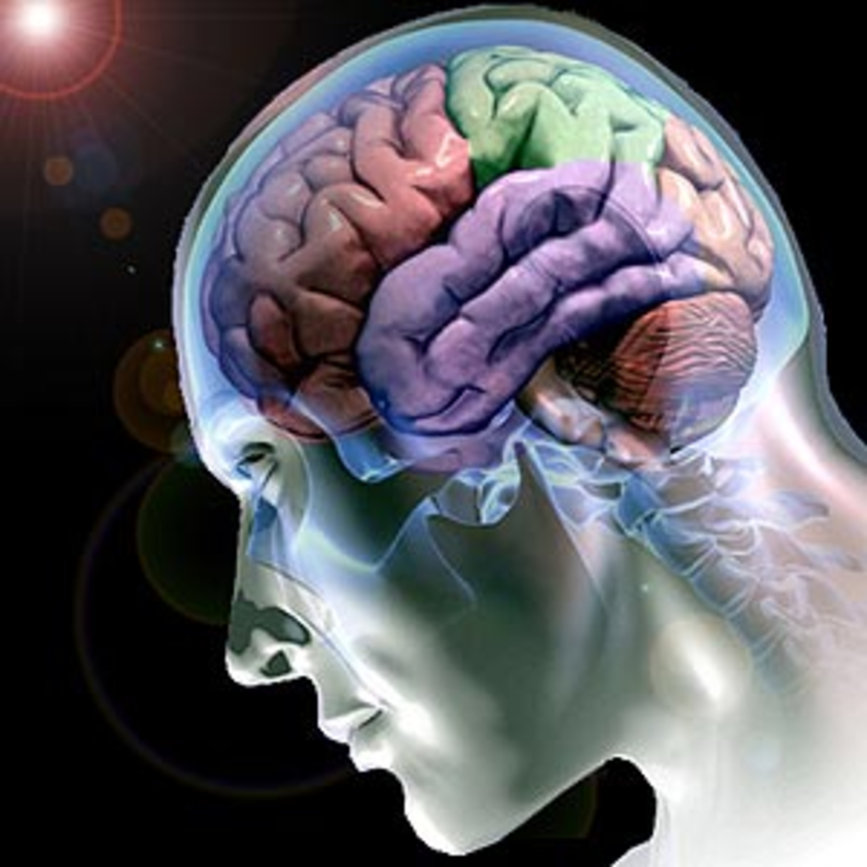 DICAS DE NEGÓCIOS E CARREIRA