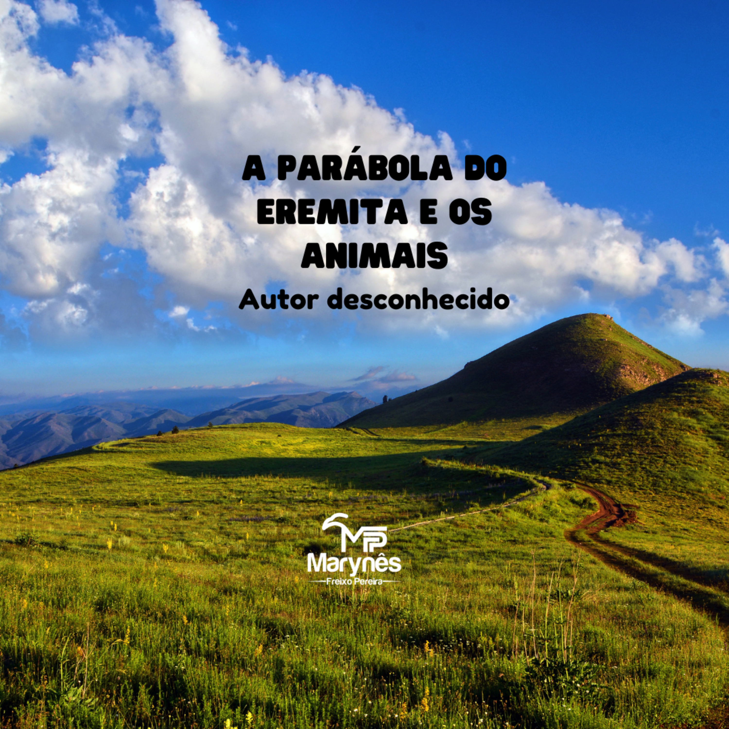 DICAS DE NEGÓCIOS E CARREIRA