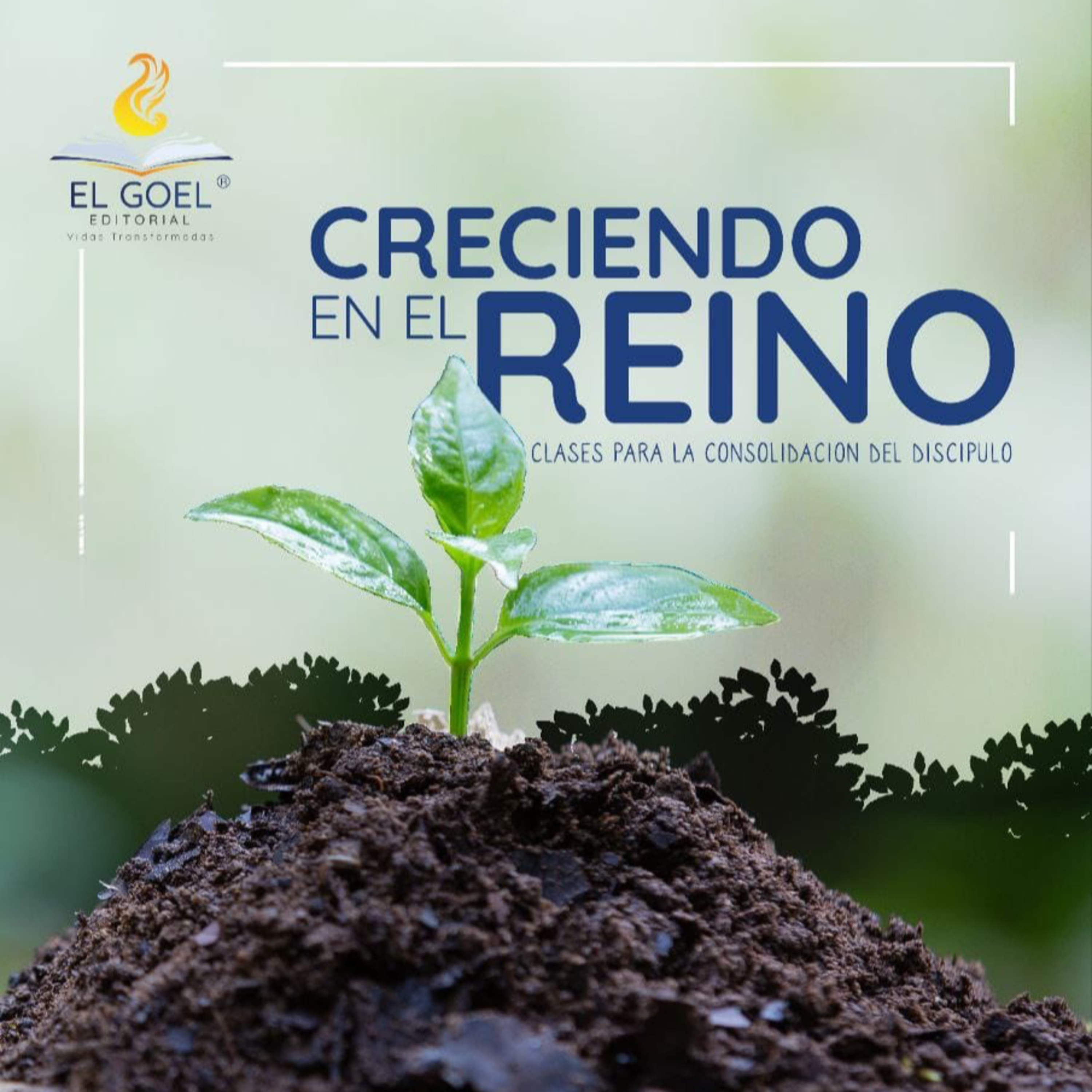 CRECIENDO-EN-EL-REINO-INTRODUCCION-A-LOS-PRINCIPIOS-EPISODIO-4 episode artwork