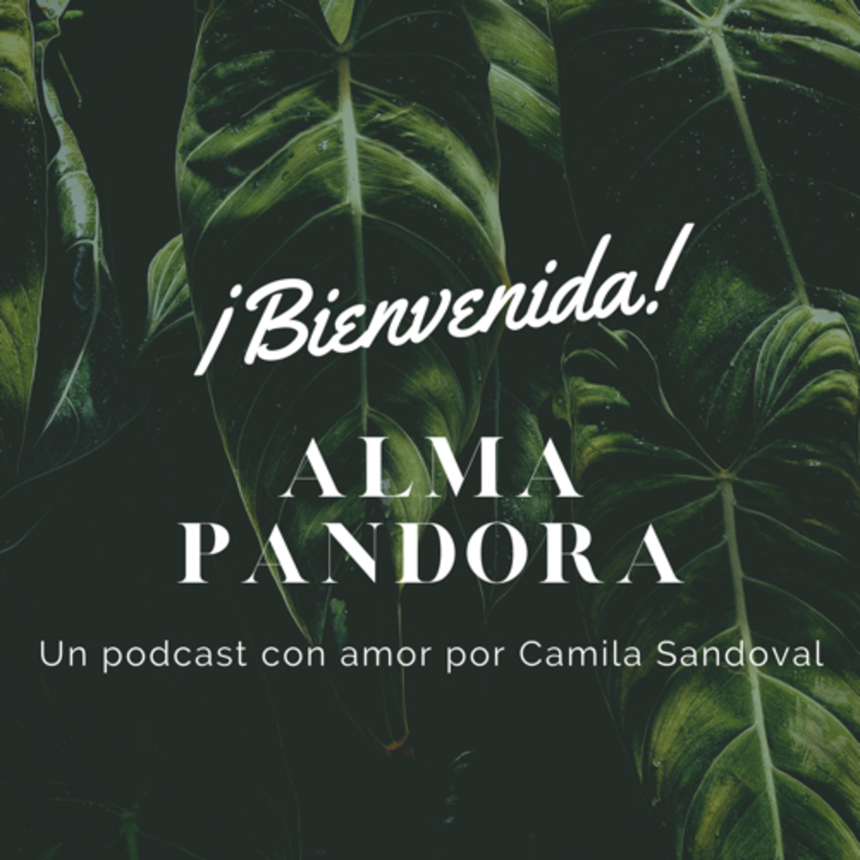 Alma Pandora