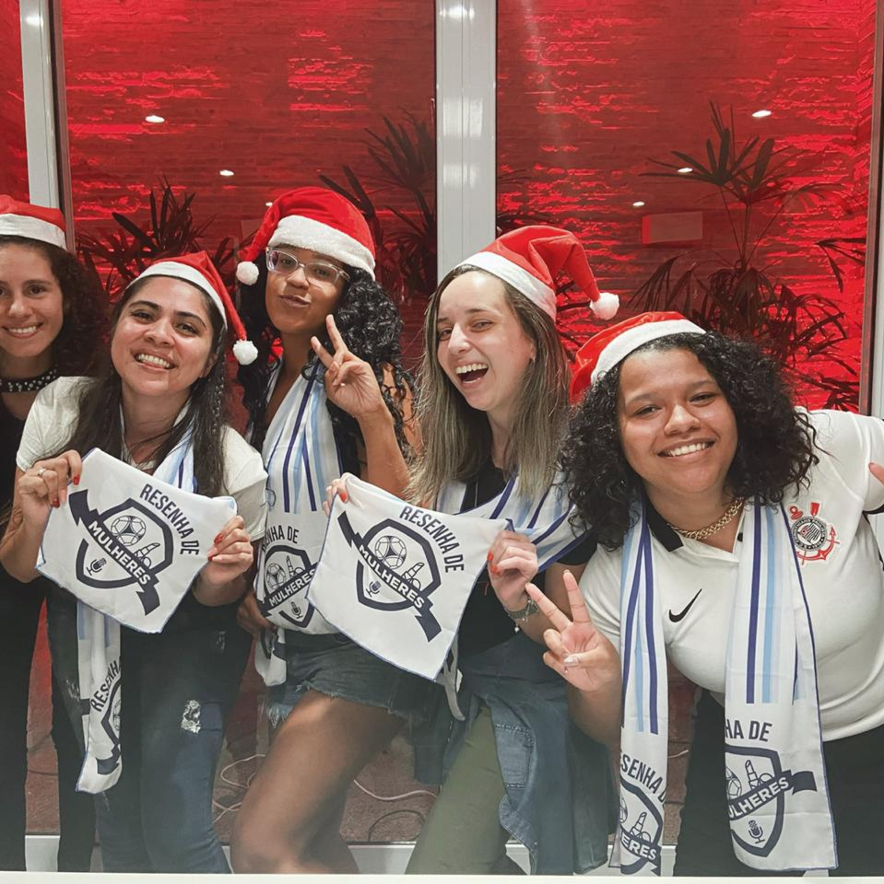 Resenha de Mulheres