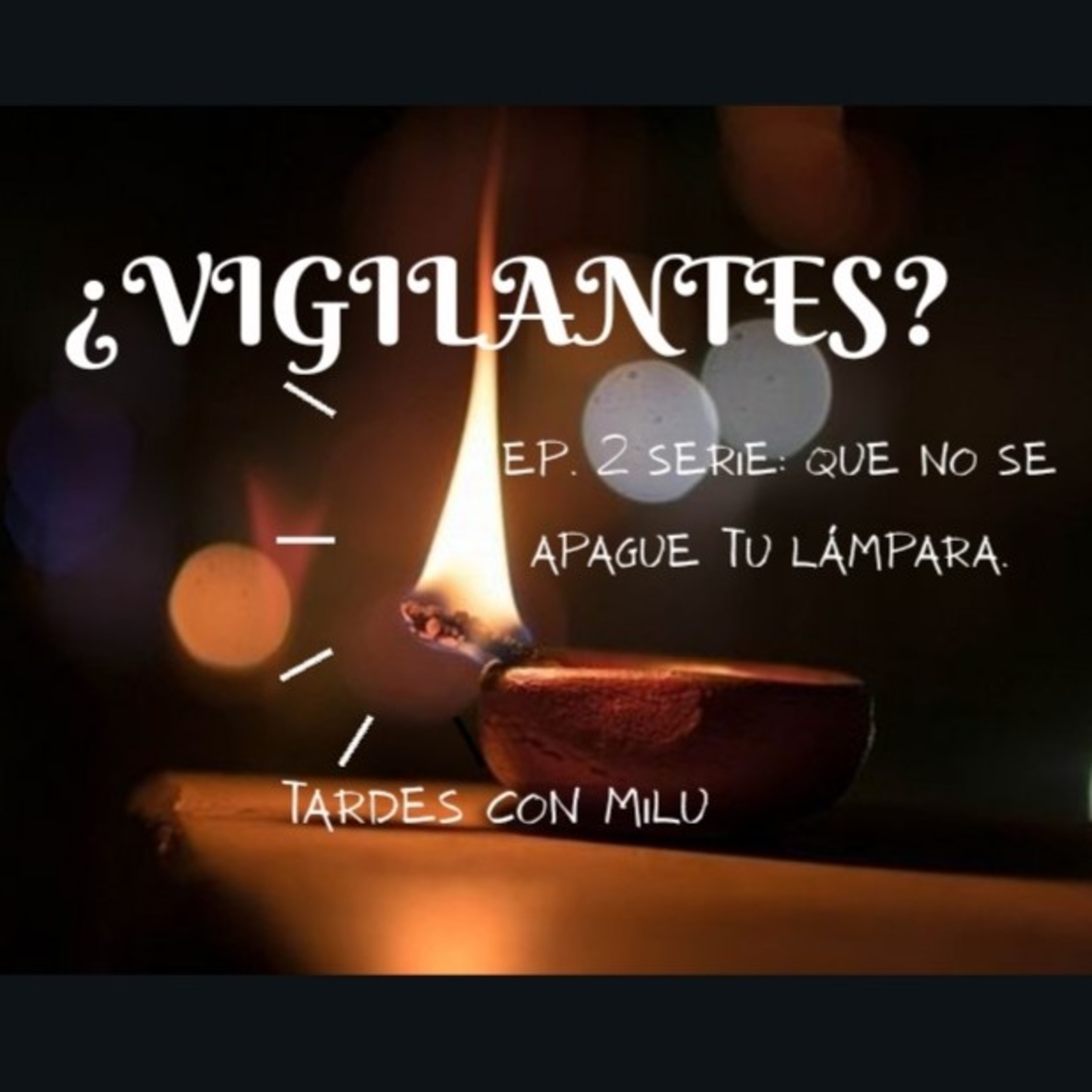 TARDES CON MILU