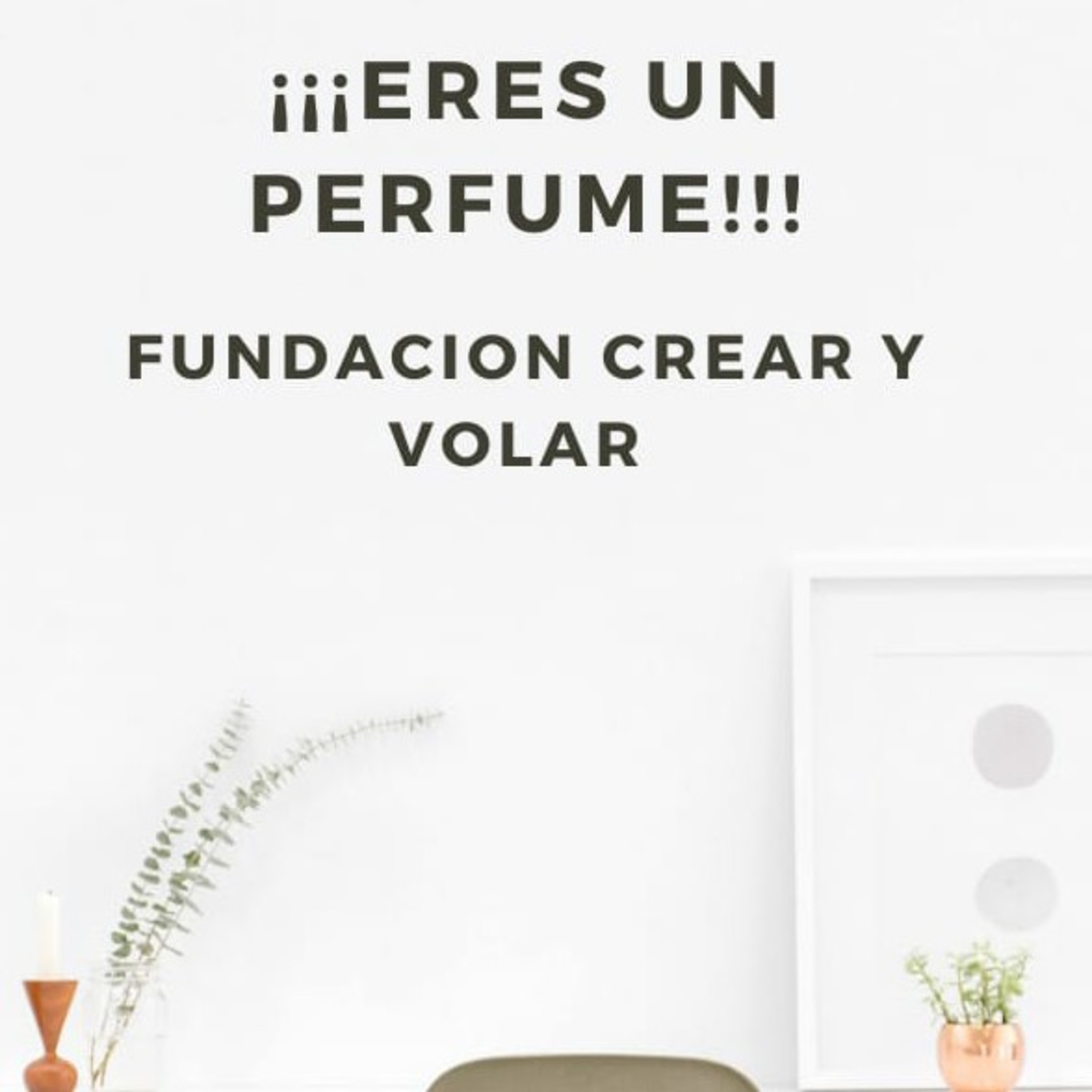 Fundación Crear y Volar.