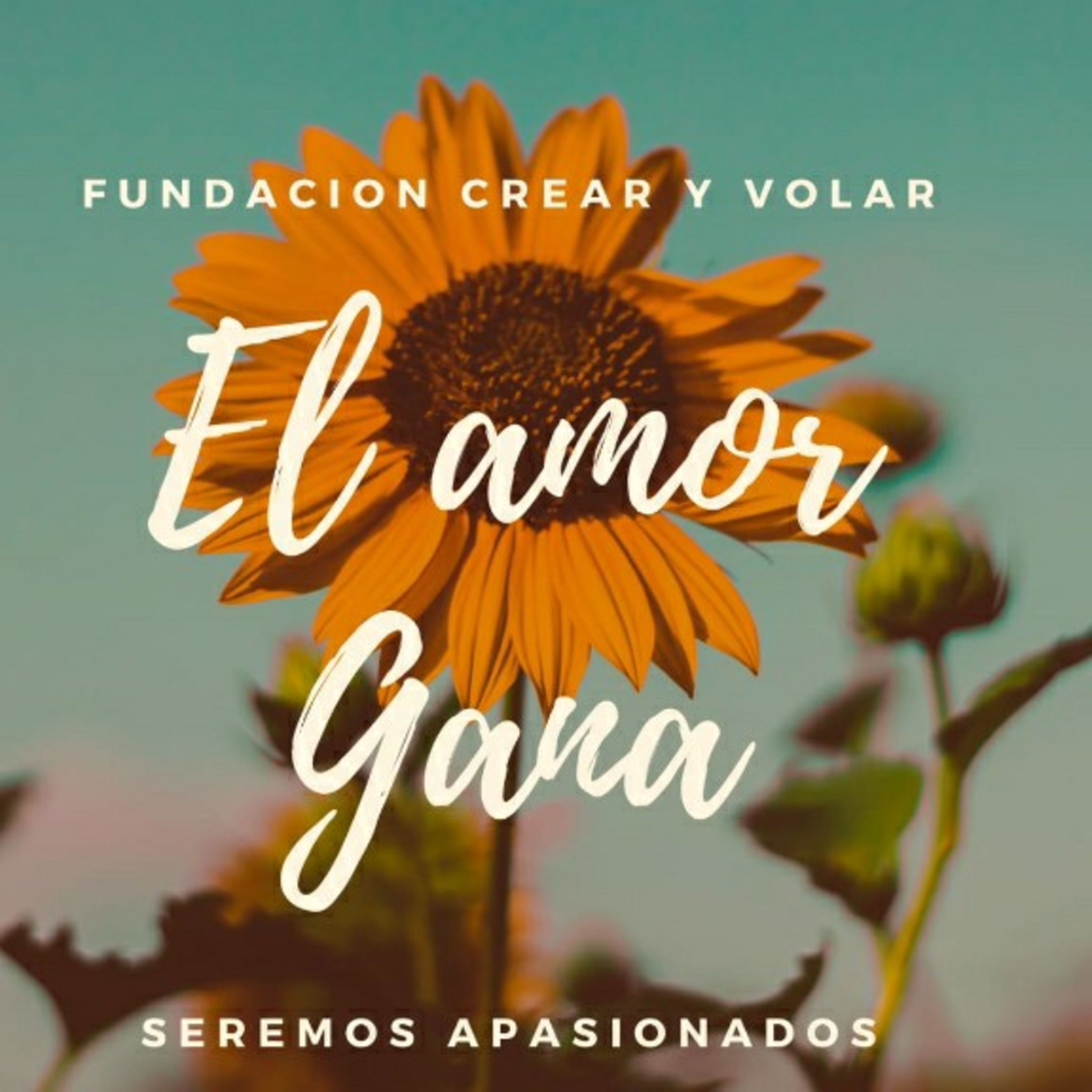 Fundación Crear y Volar.