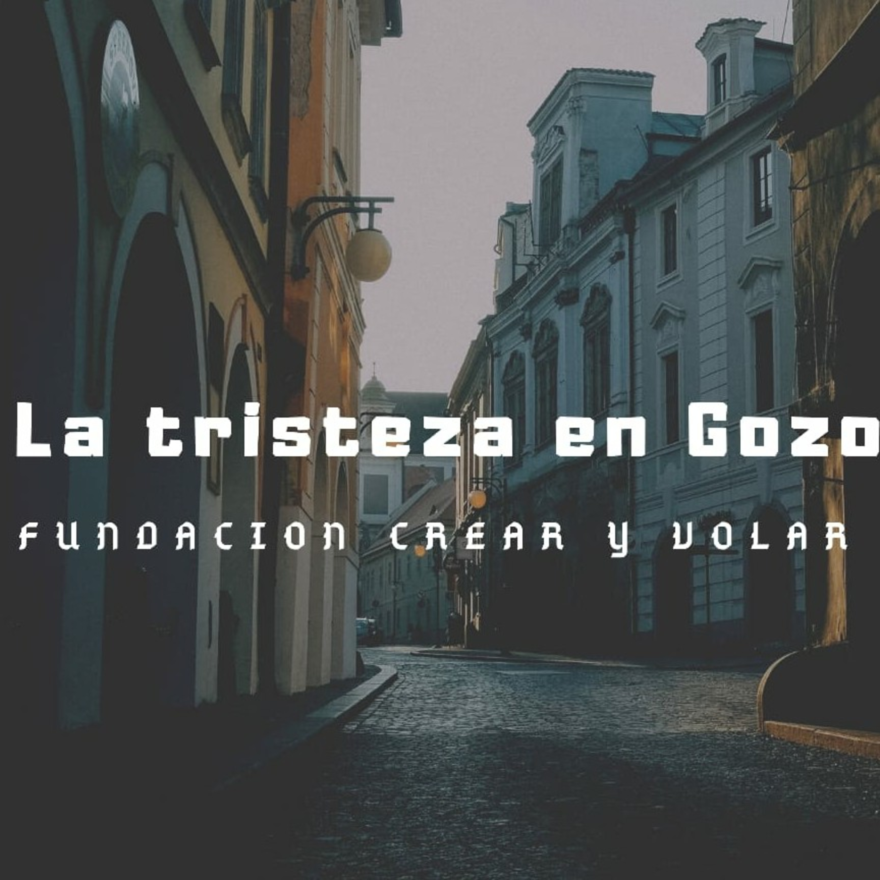 Fundación Crear y Volar.