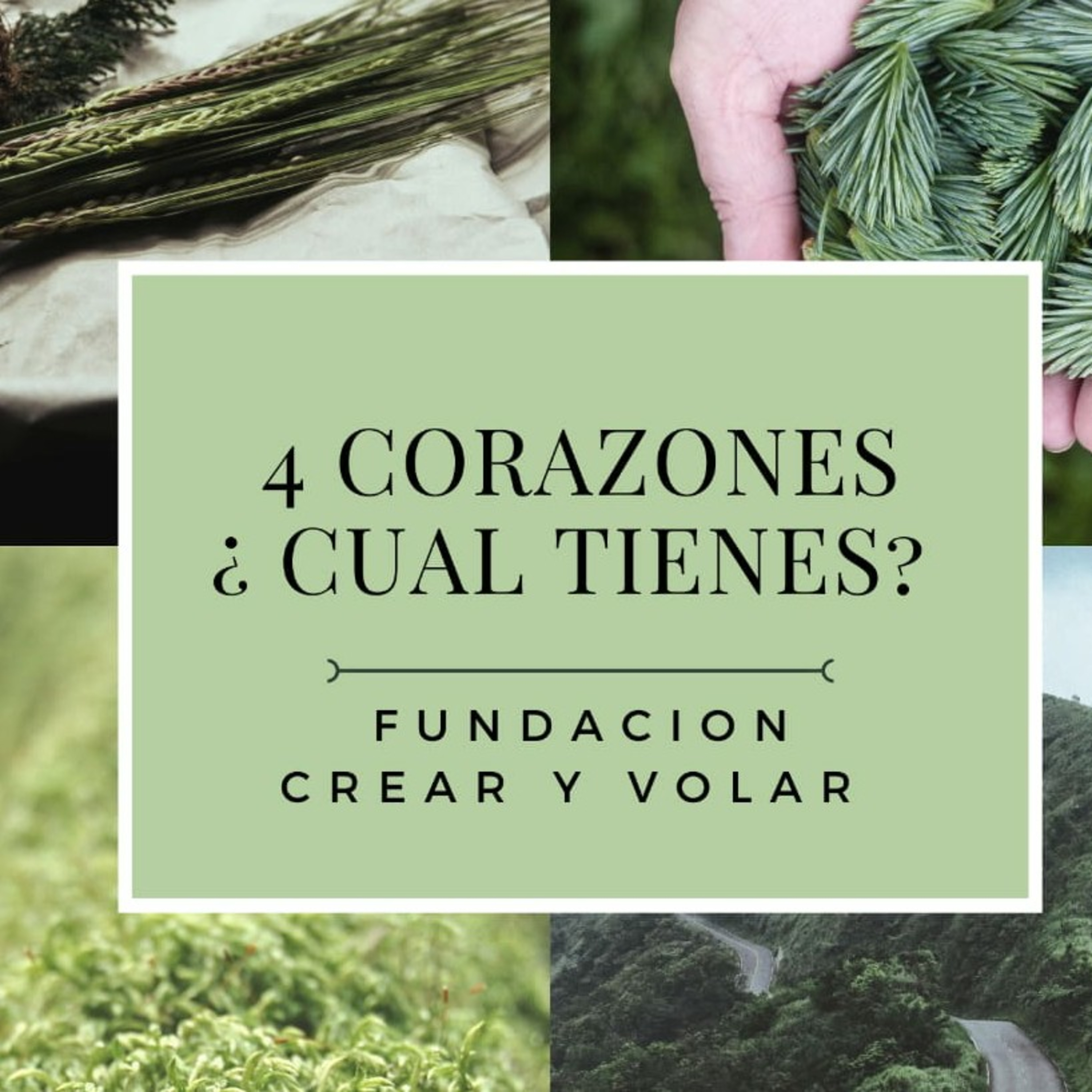 Fundación Crear y Volar.