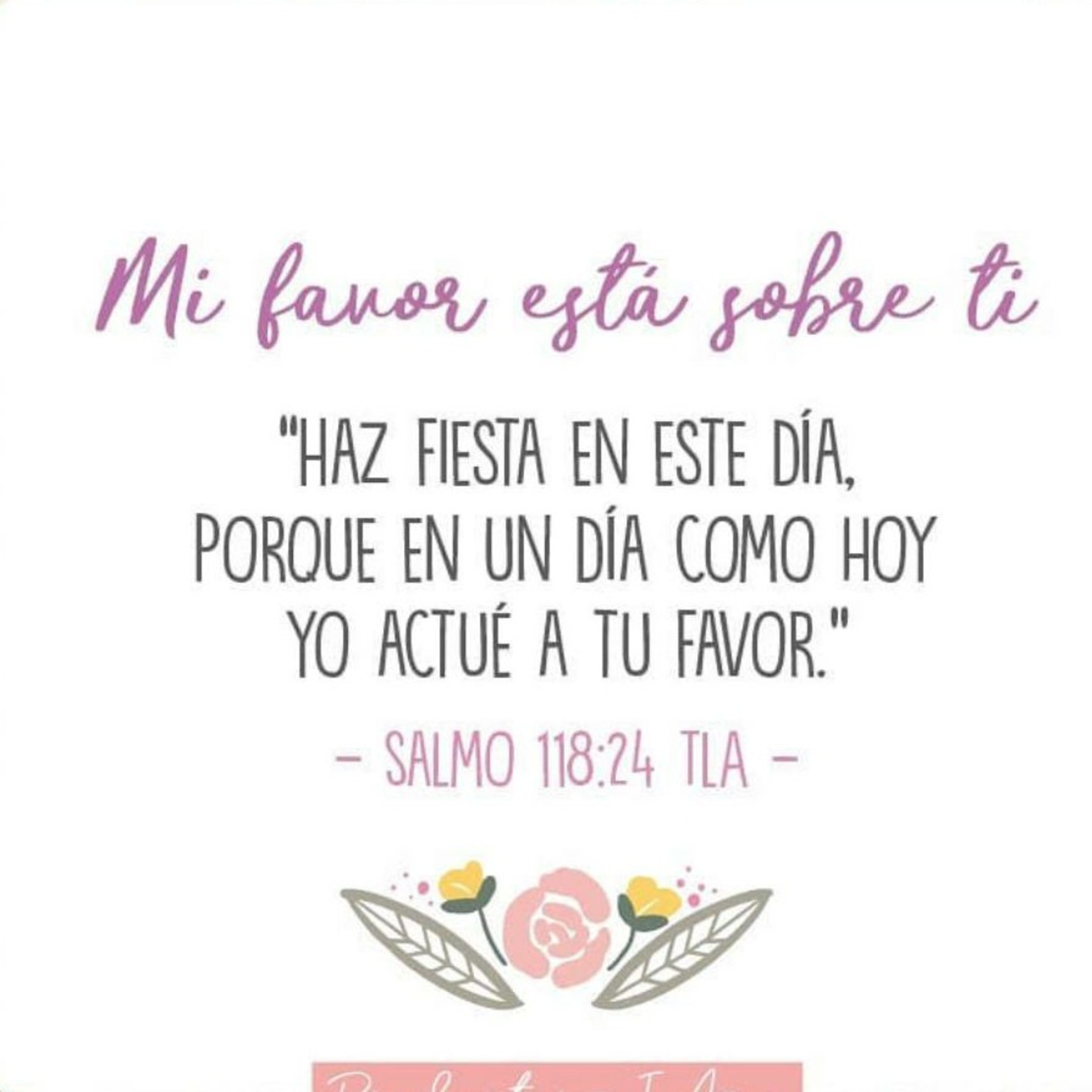 Fundación Crear y Volar.