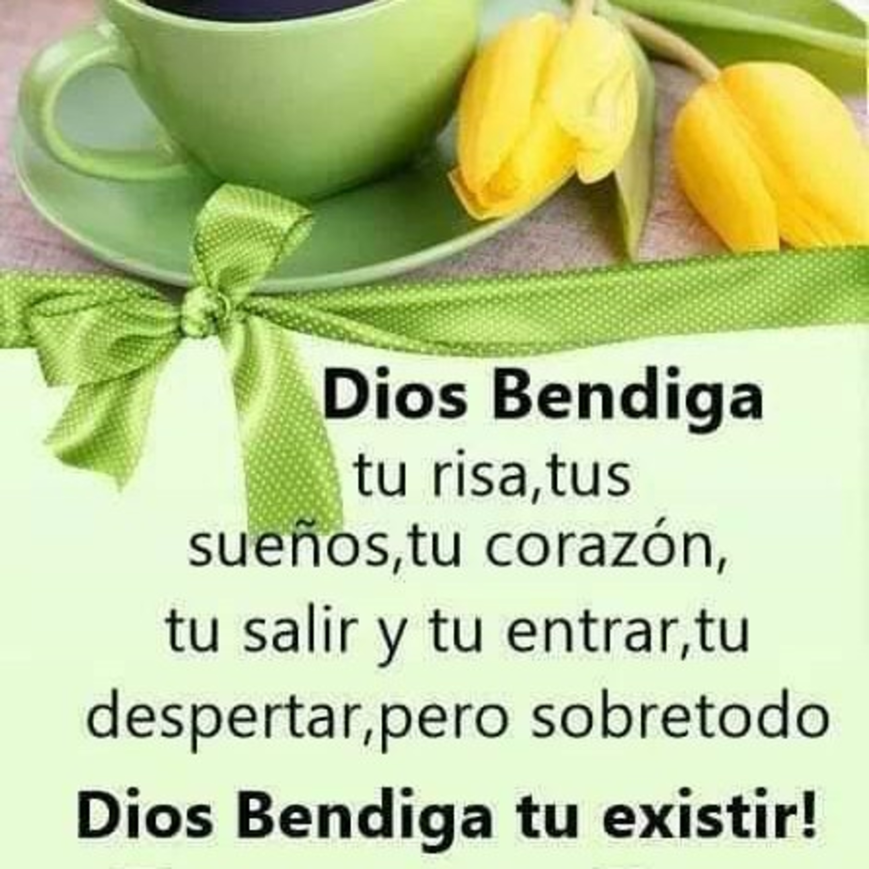 Fundación Crear y Volar.