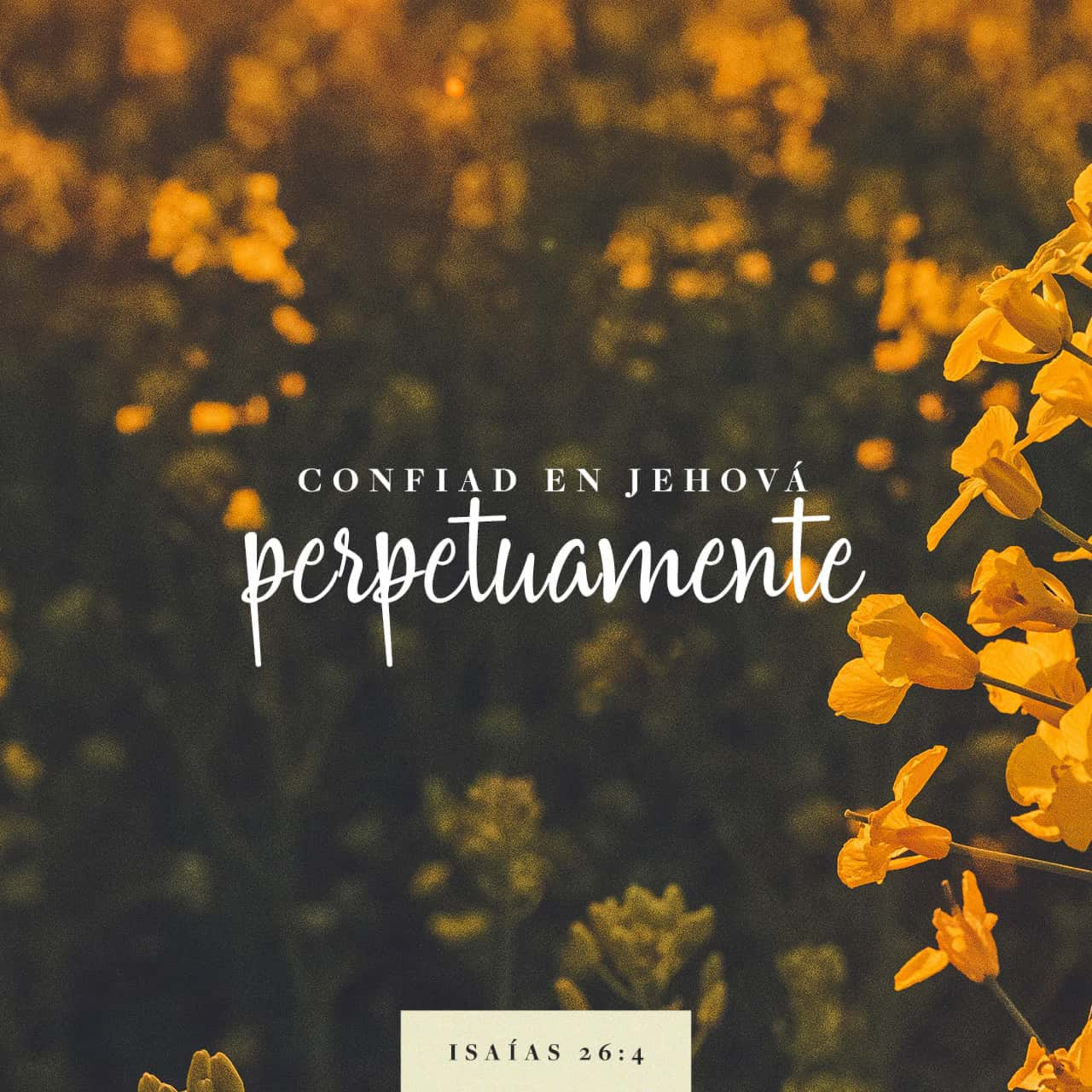 Fundación Crear y Volar.