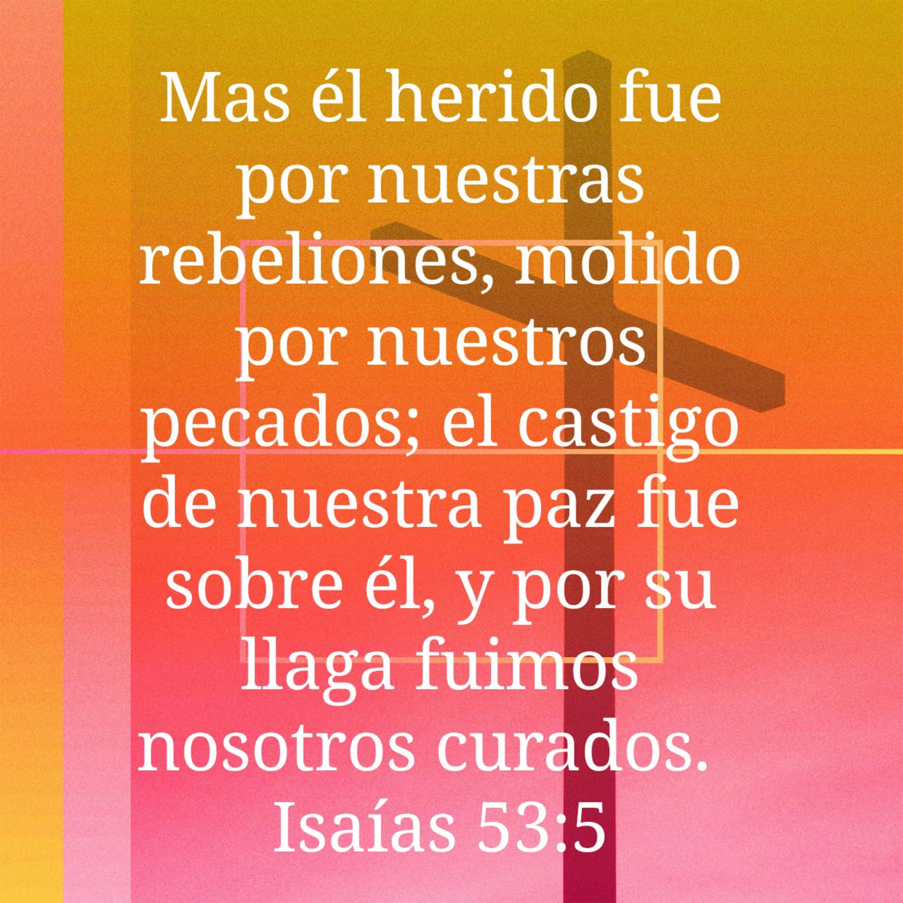 Fundación Crear y Volar.