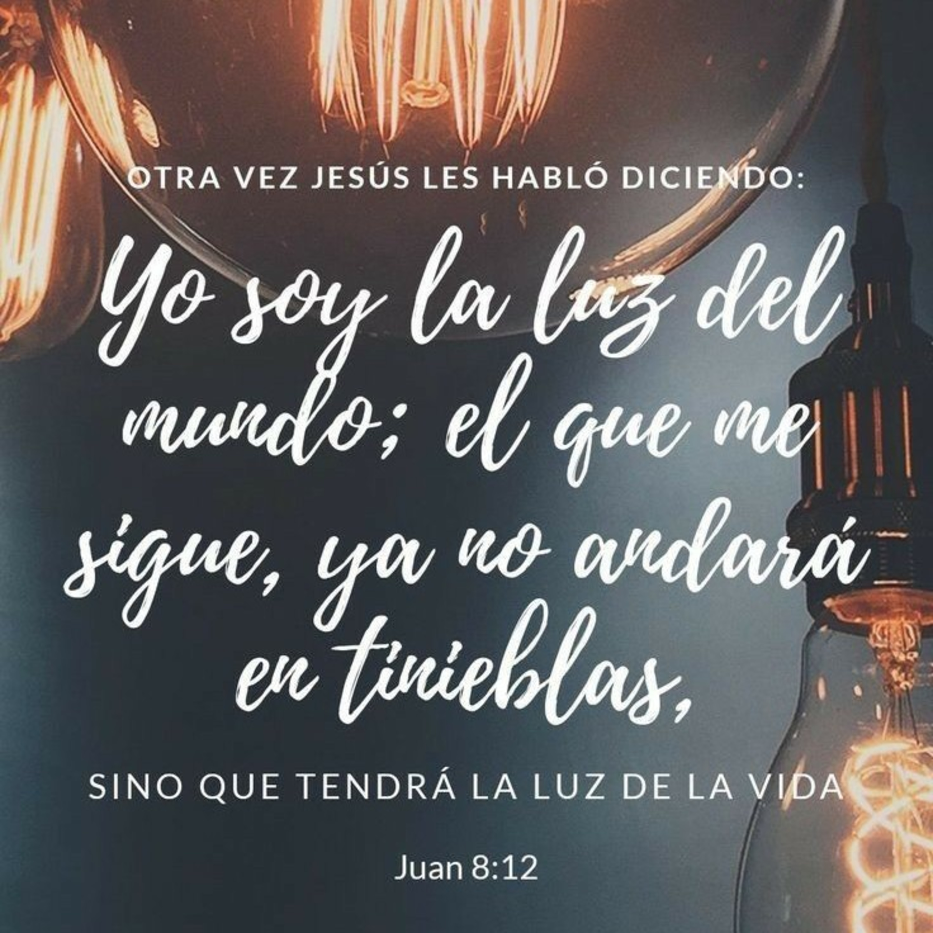 Fundación Crear y Volar.