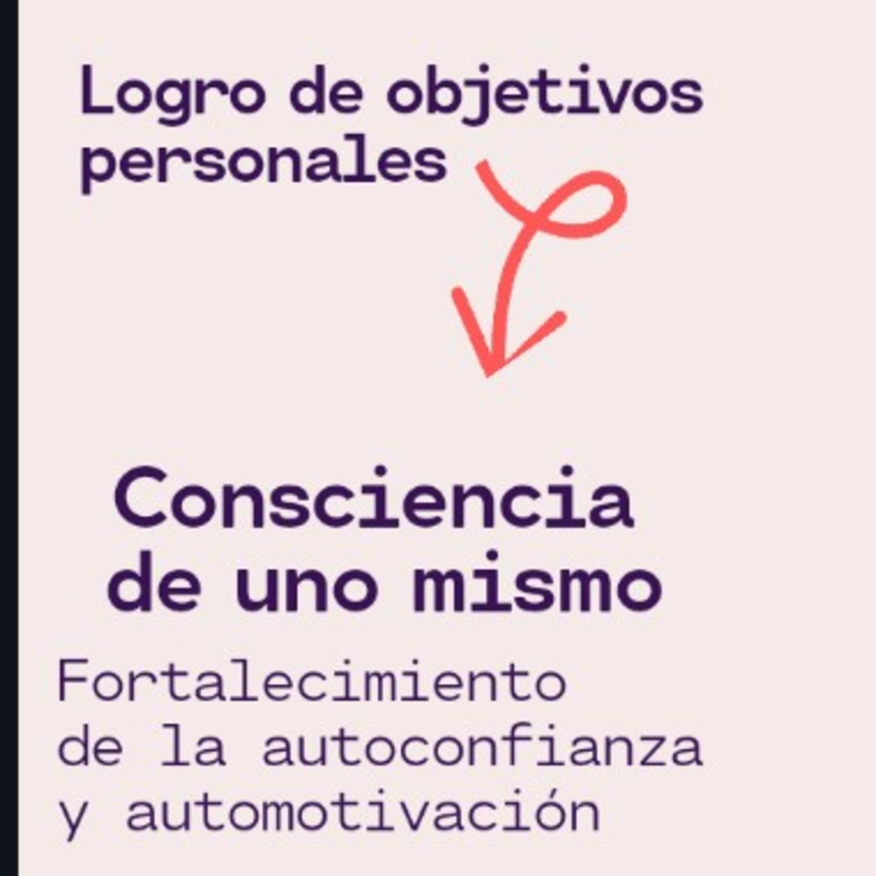 Inteligencia emocional en el logro de objetivos personales