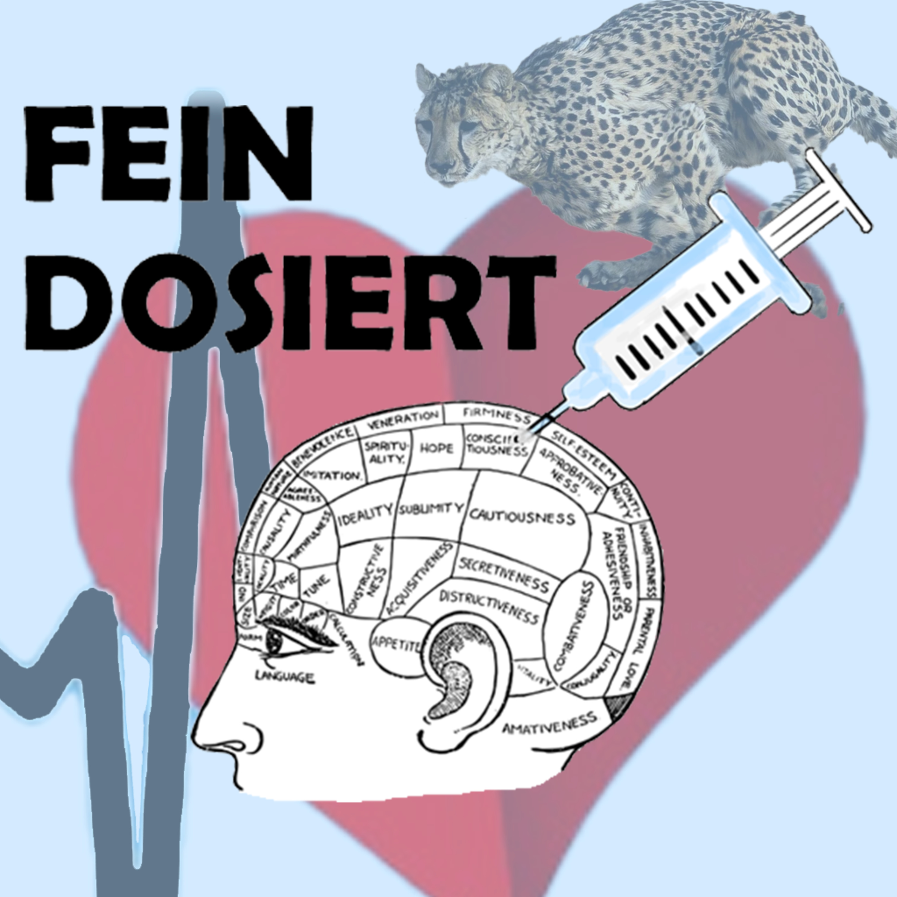 Fein Dosiert