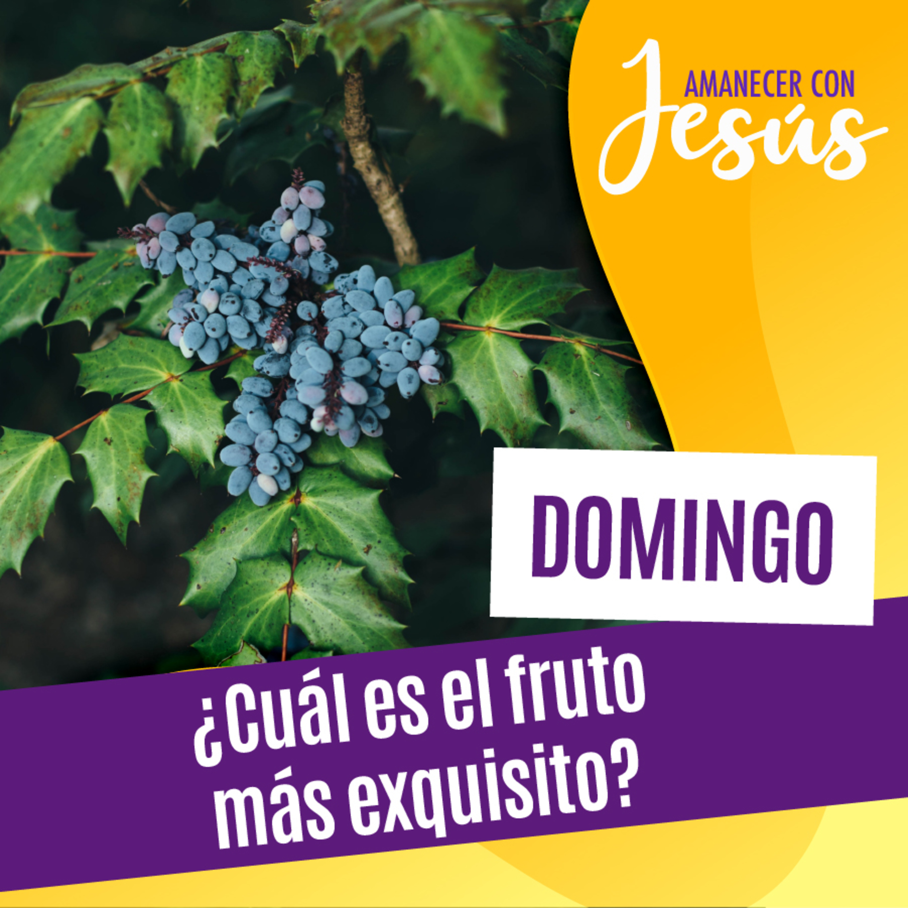 Amanecer con Jesús