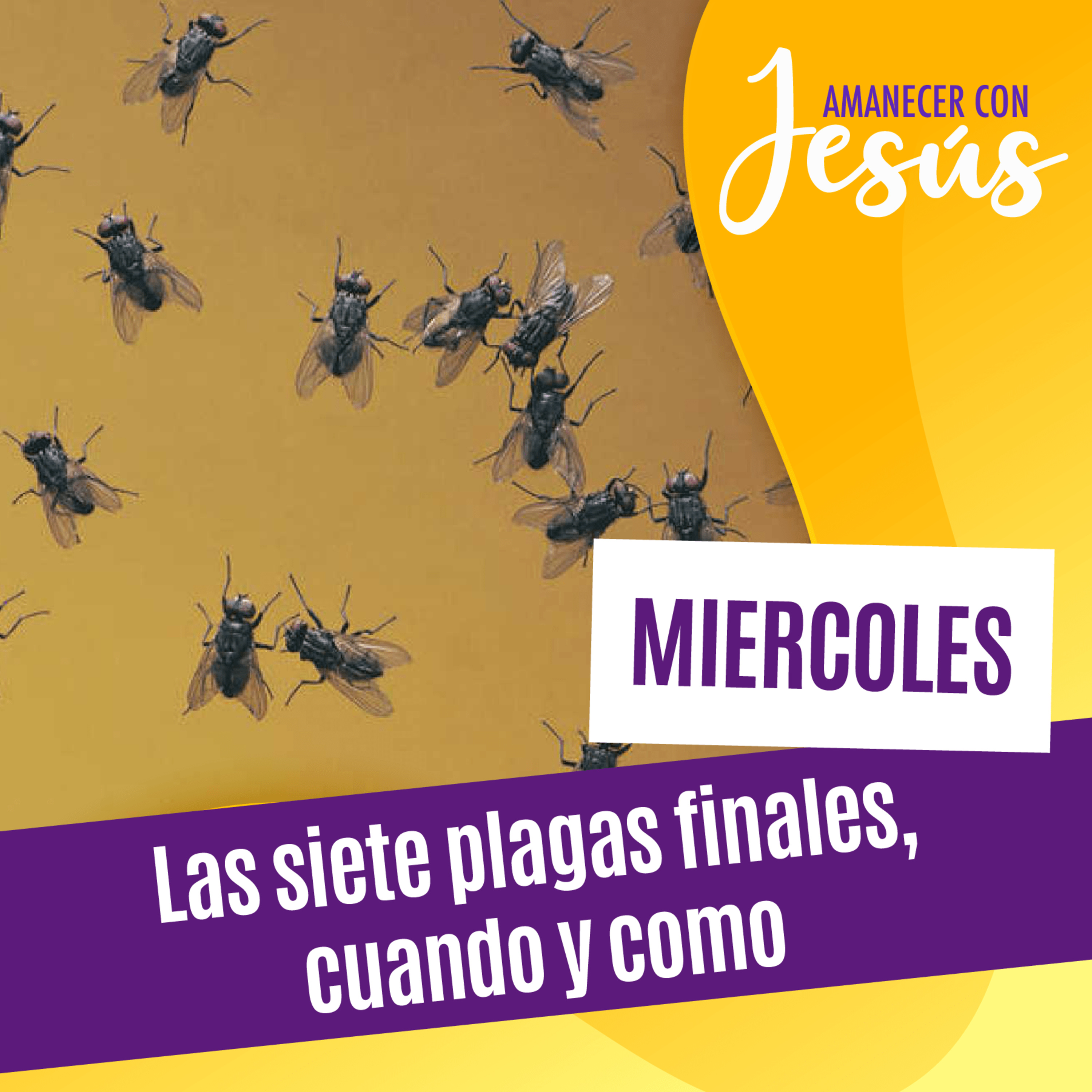 Amanecer con Jesús