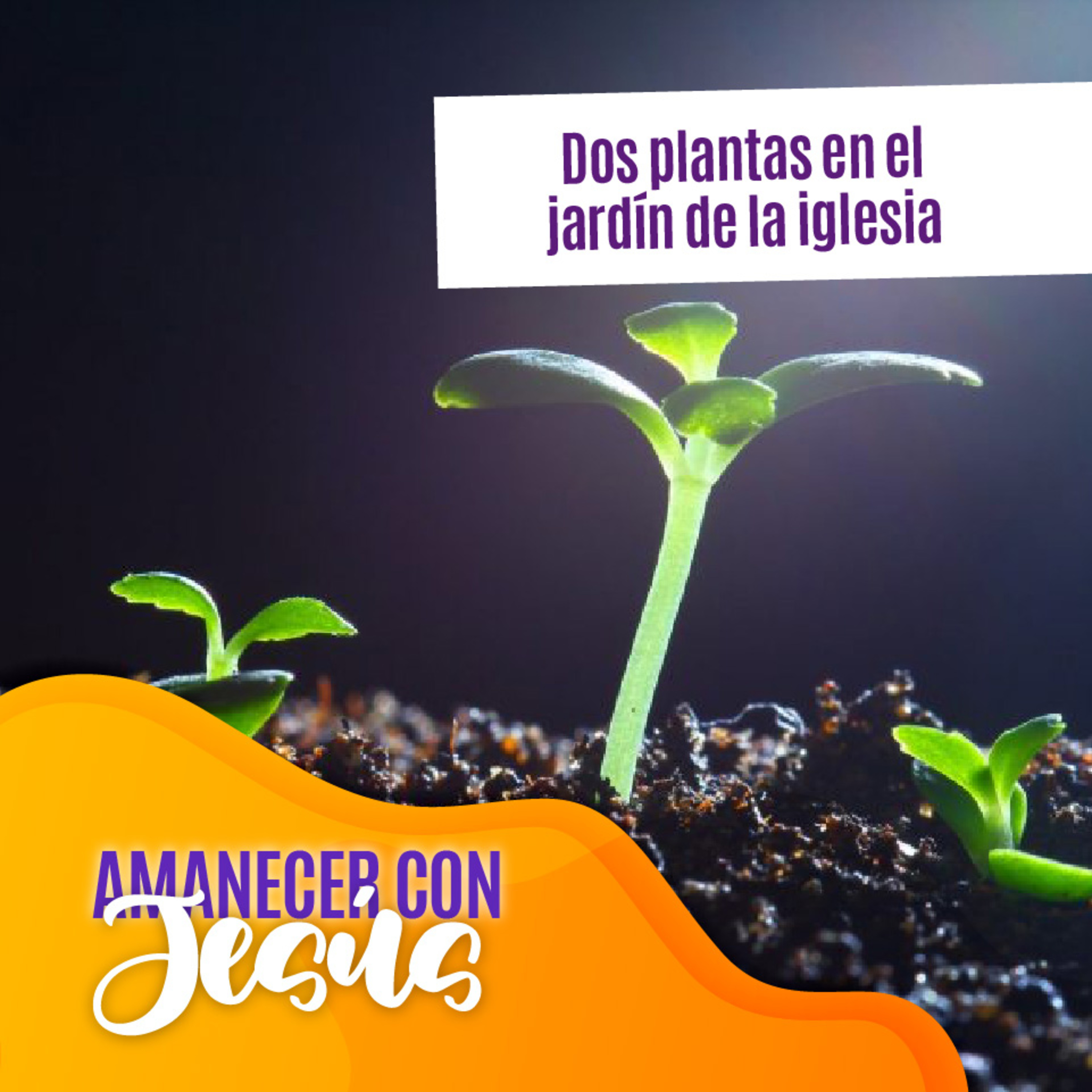 Amanecer con Jesús