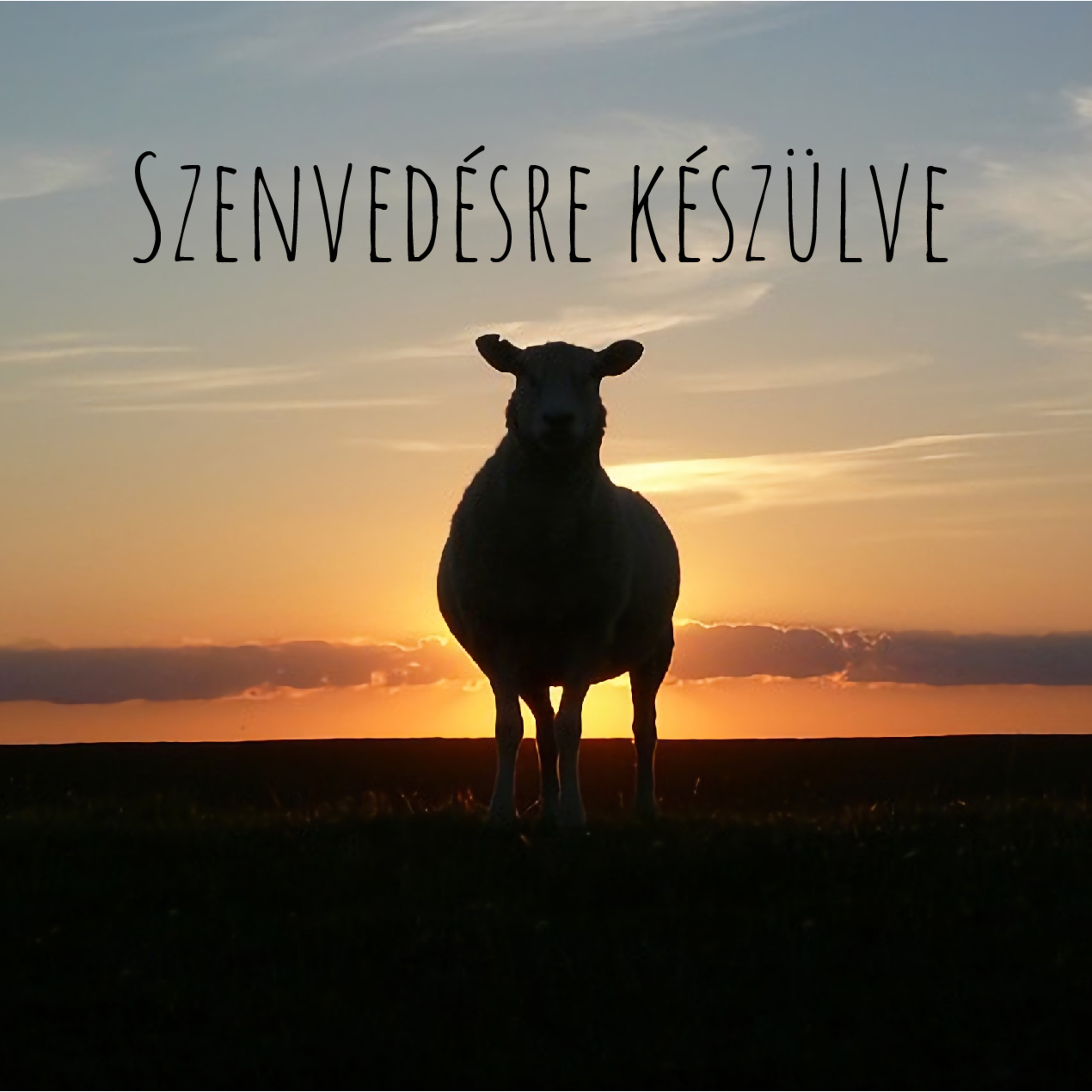 Békéscsabai Baptista Gyülekezet