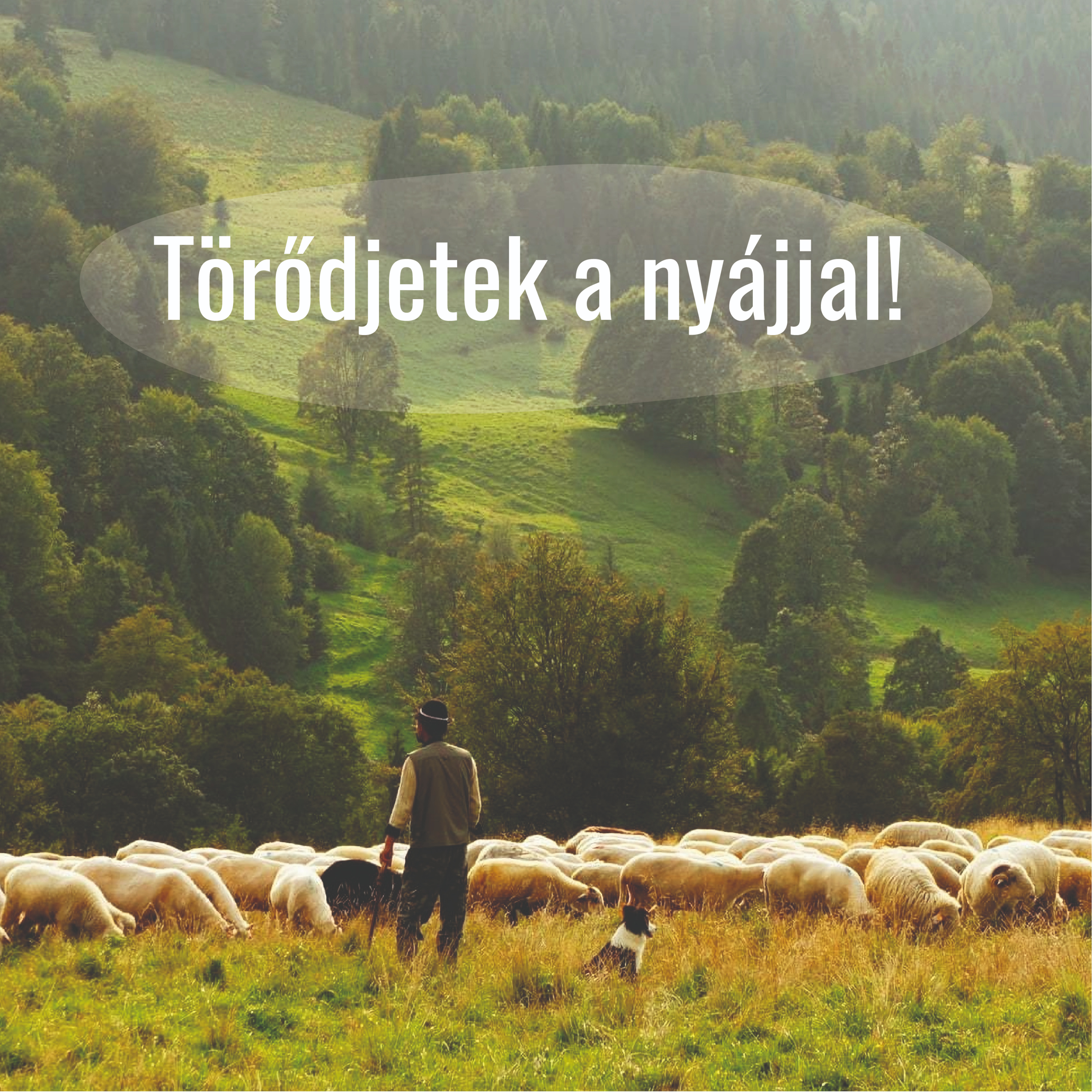 Békéscsabai Baptista Gyülekezet