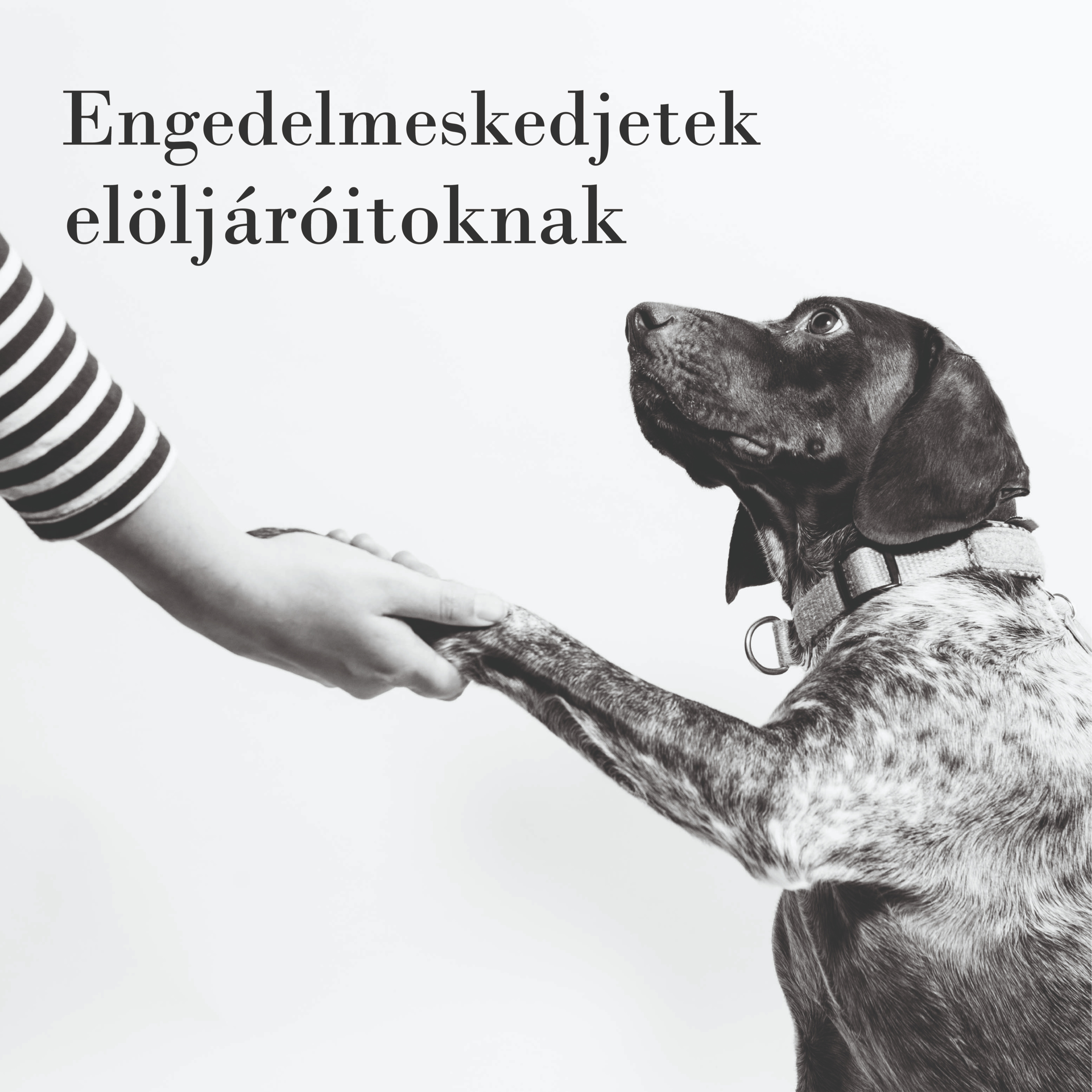 Békéscsabai Baptista Gyülekezet