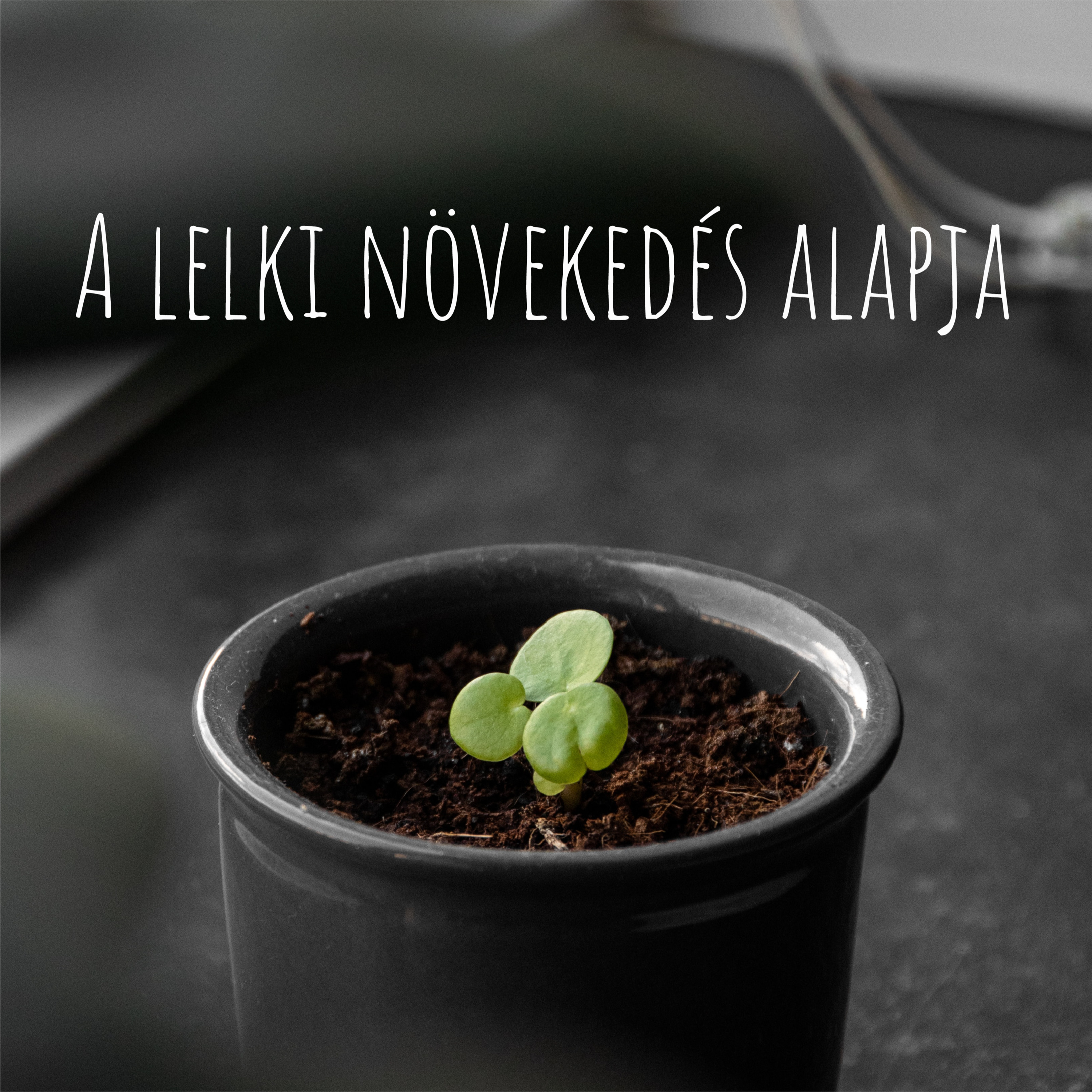A lelki növekedés alapja - 1 Péter 2:1-5 episode artwork